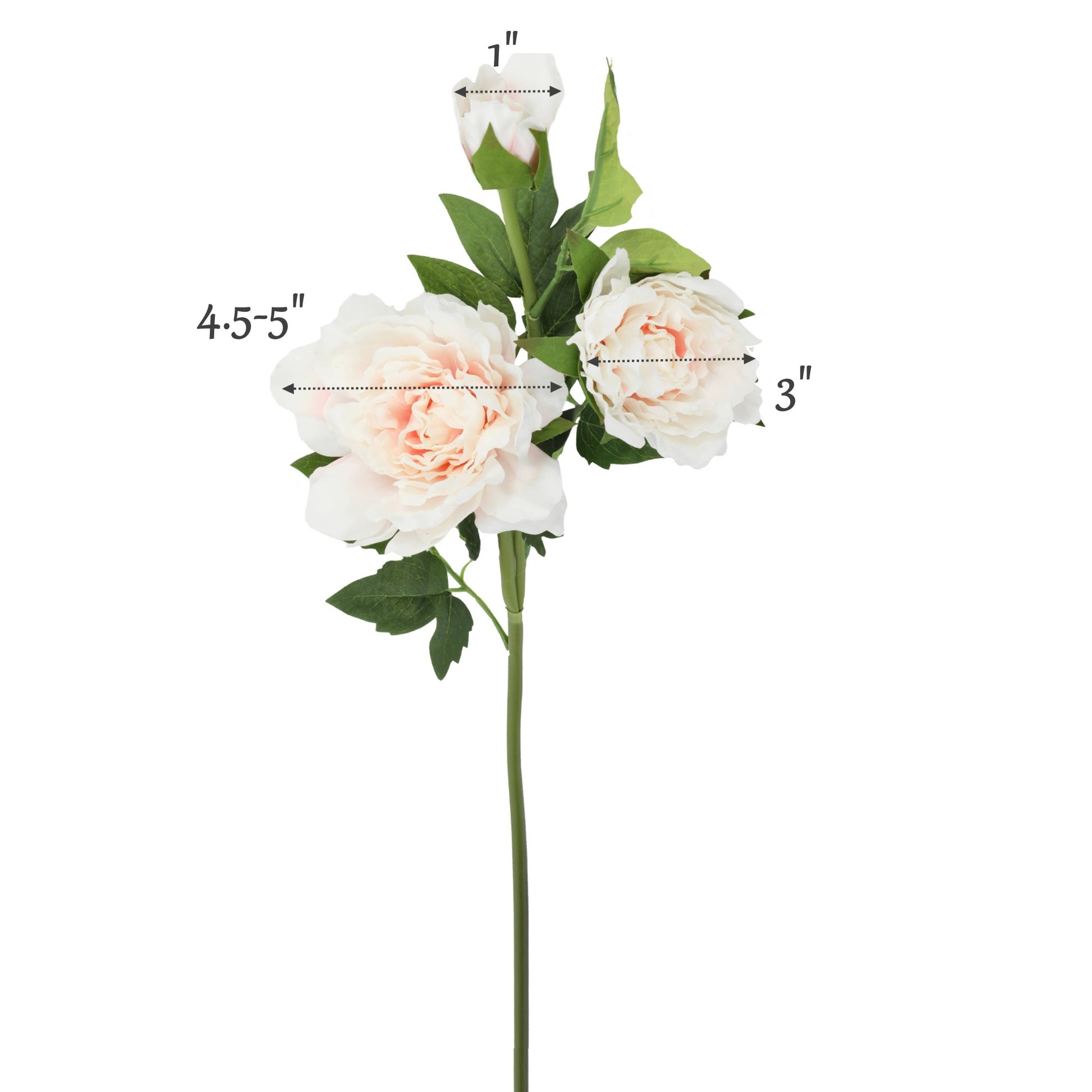 26"-Premium Collection-Real Touch Moisturized Peony Stem