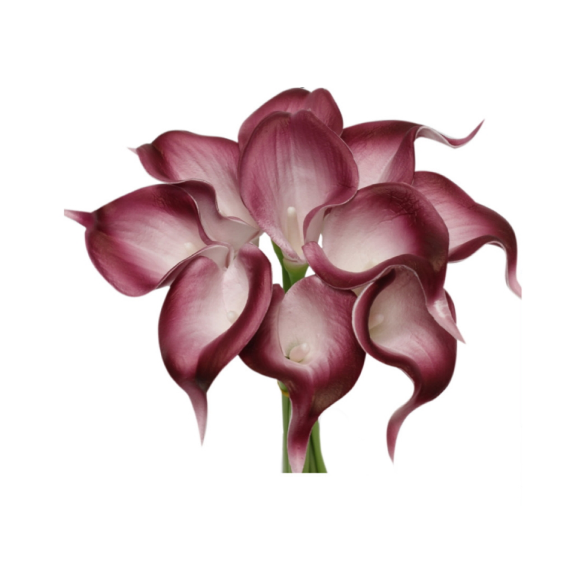 10-stem real touch calla lily-Red burgundy color palette