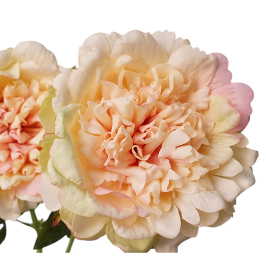 23.5"-Real Touch Moisturized Coating Peony Stem