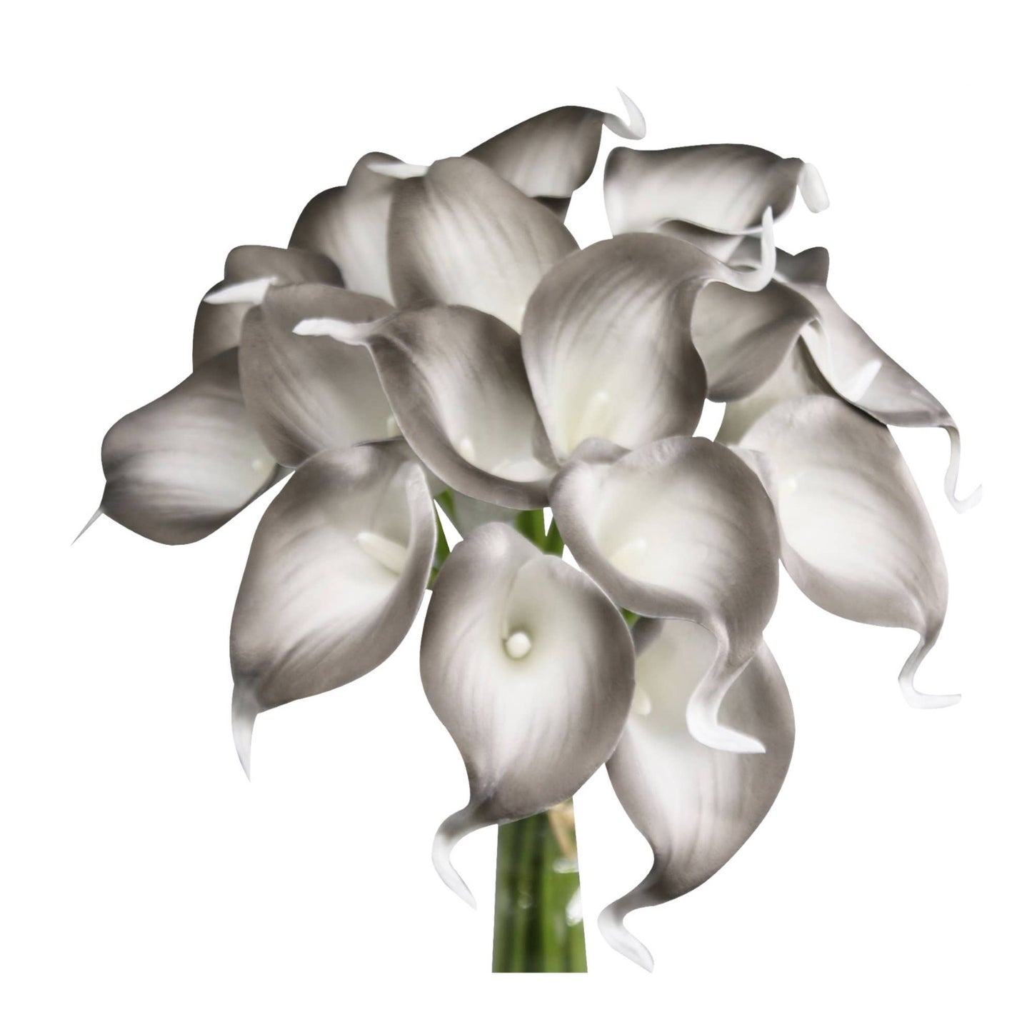 Pack of 10-Real Touch Calla lily-Silver Black color palette