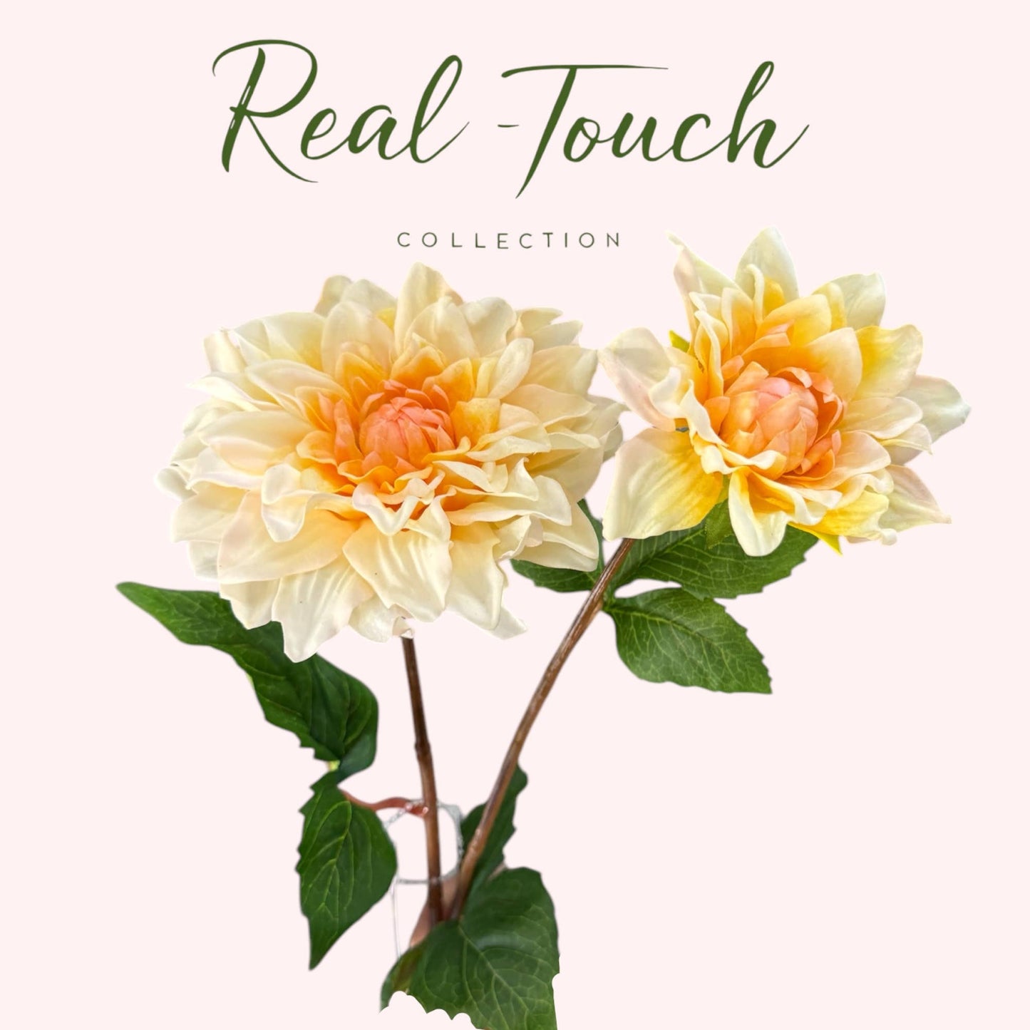 24" Lifelike Real Touch Dahlia -2 flowers