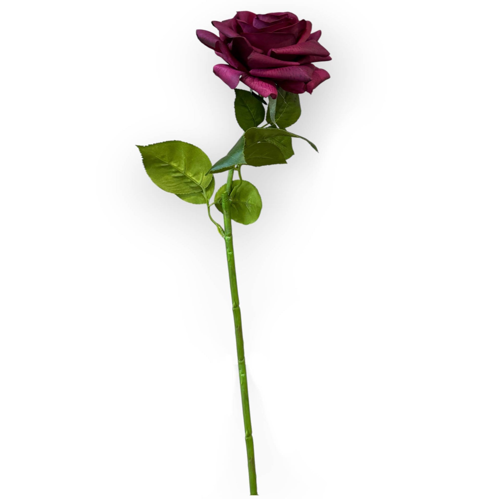 25"-Premium Collection-Real Touch Artificial Rose