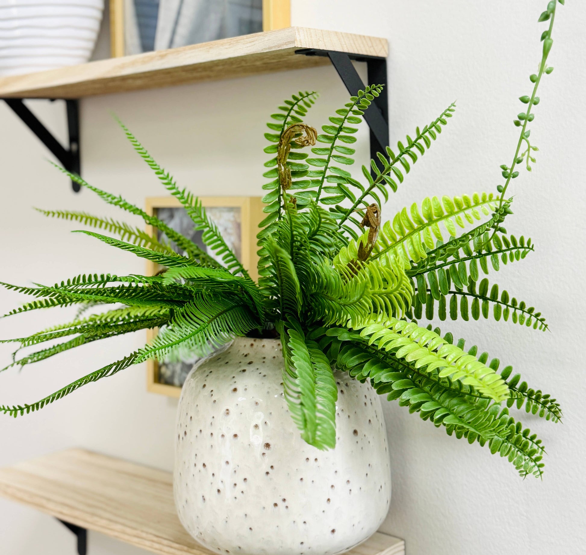 Realistic & Ultra-Soft Touch-21 Leaves-Artificial Fern Bush