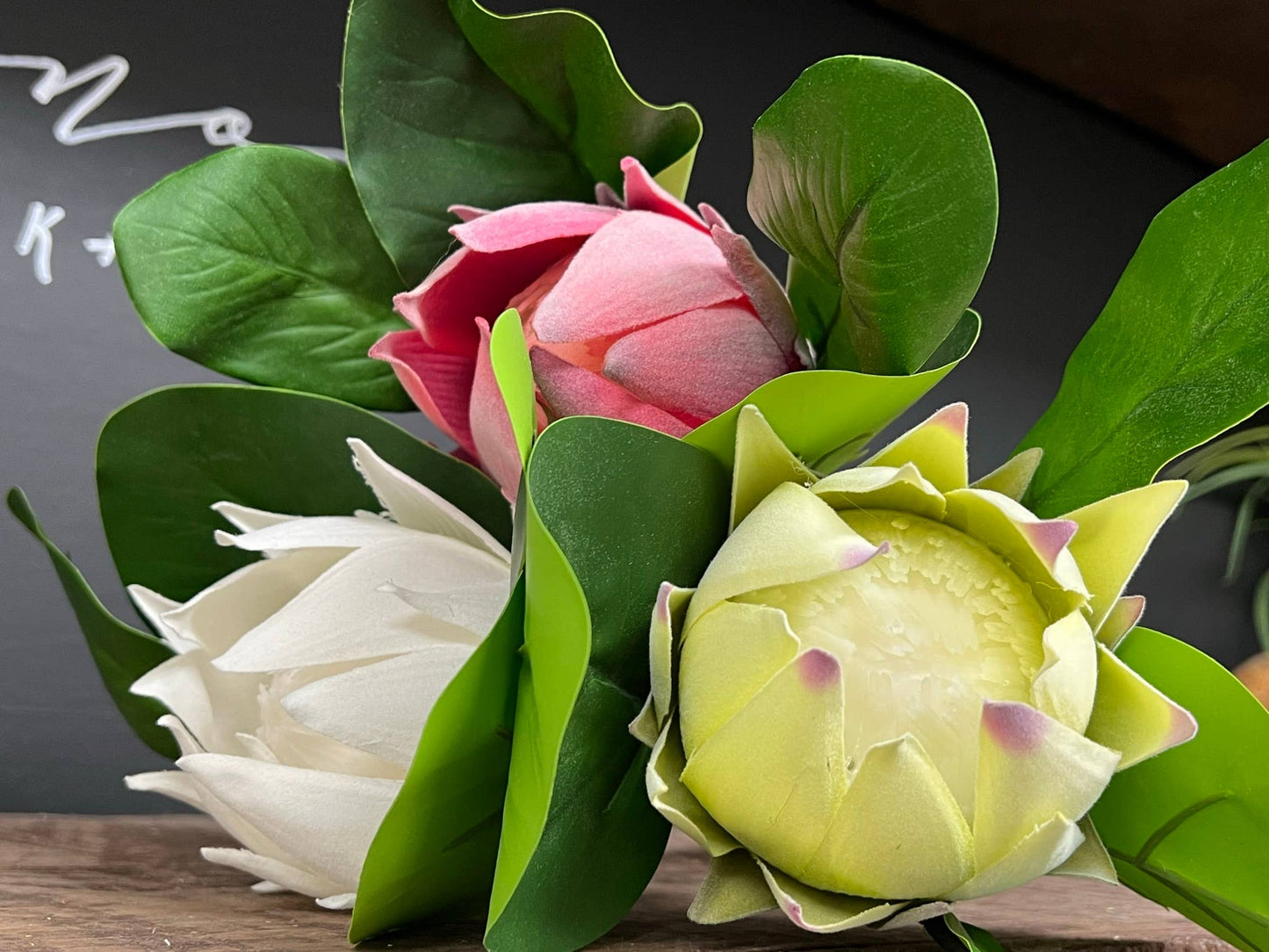 21"Quality Artificial King Protea Cynaroides-real touch leaf