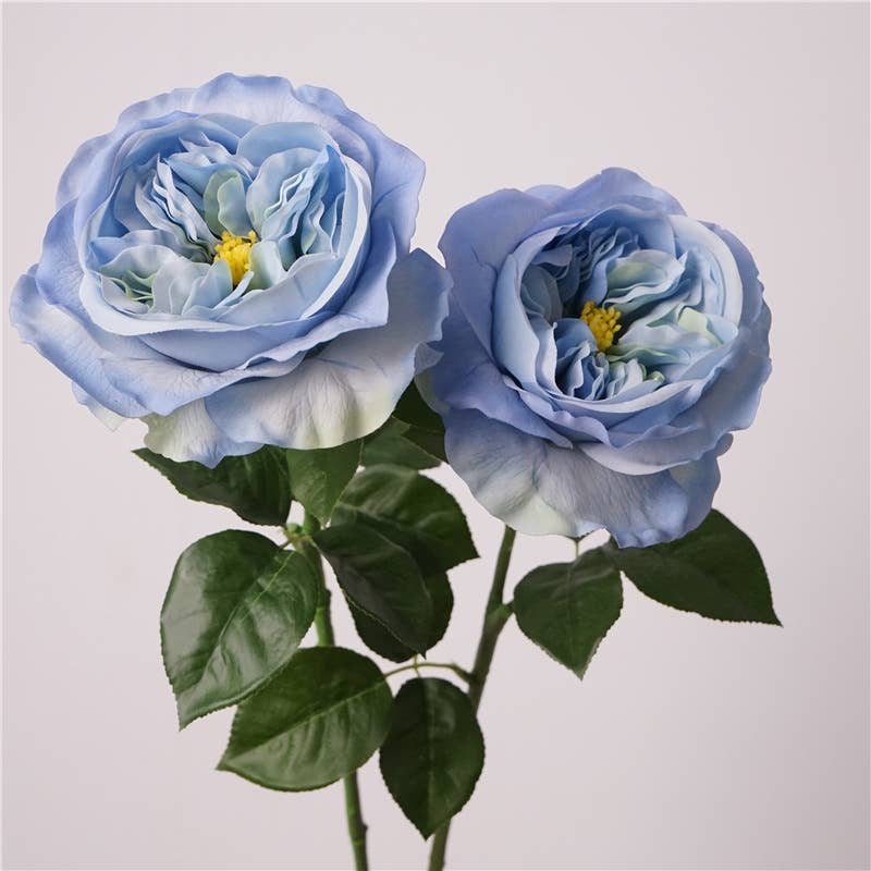 27"Lux Juliet Garden Rose-Moisture-touch coating(6"Bloom)