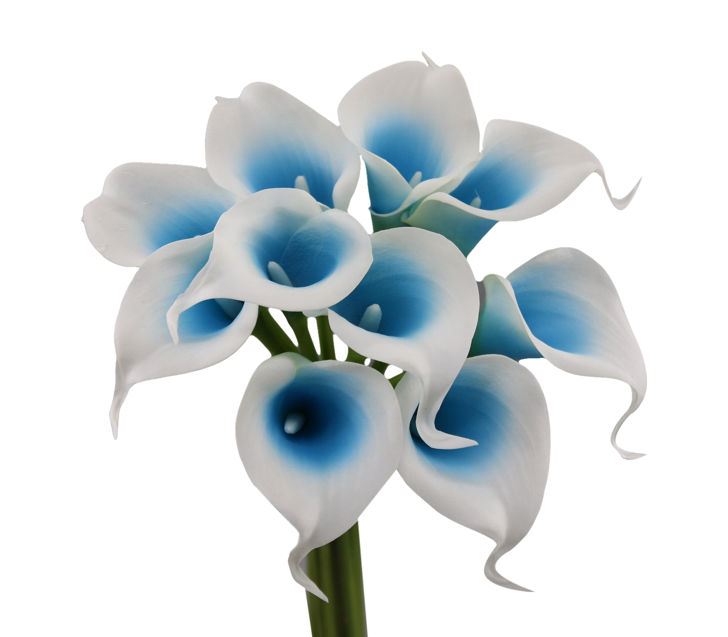 Pack of 10-Real Touch Calla lily-Malibu Turquoise Blue