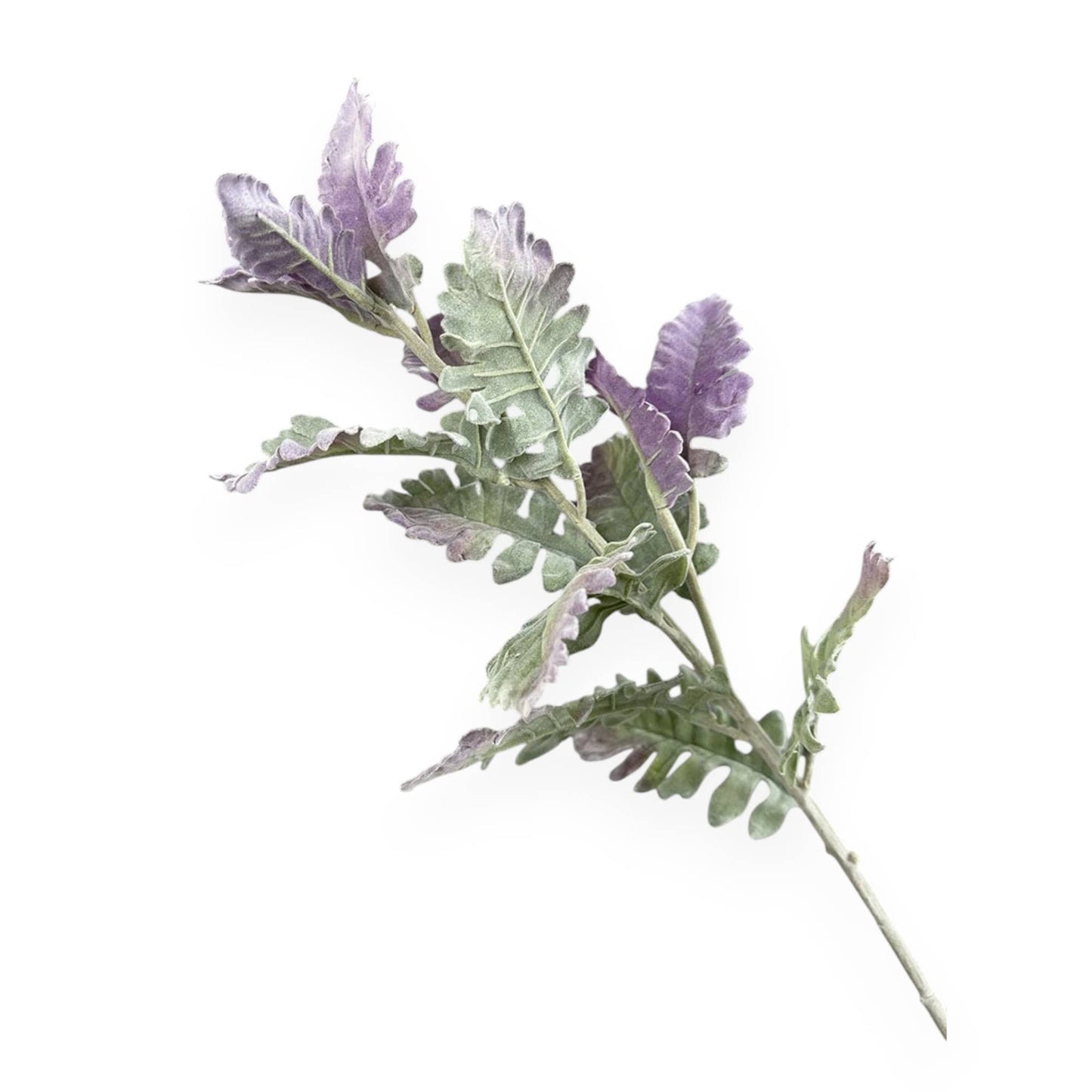 30.5"-Premium-quality Frosted Dusty Miller Spray-14 leaves