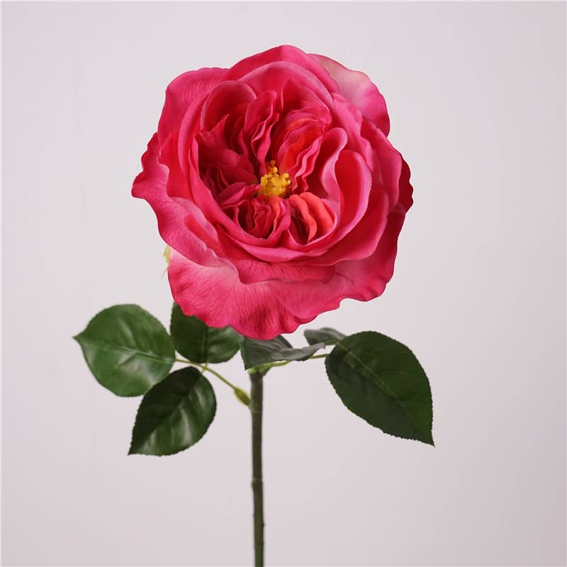 27"Lux Juliet Garden Rose-Moisture-touch coating(6"Bloom)