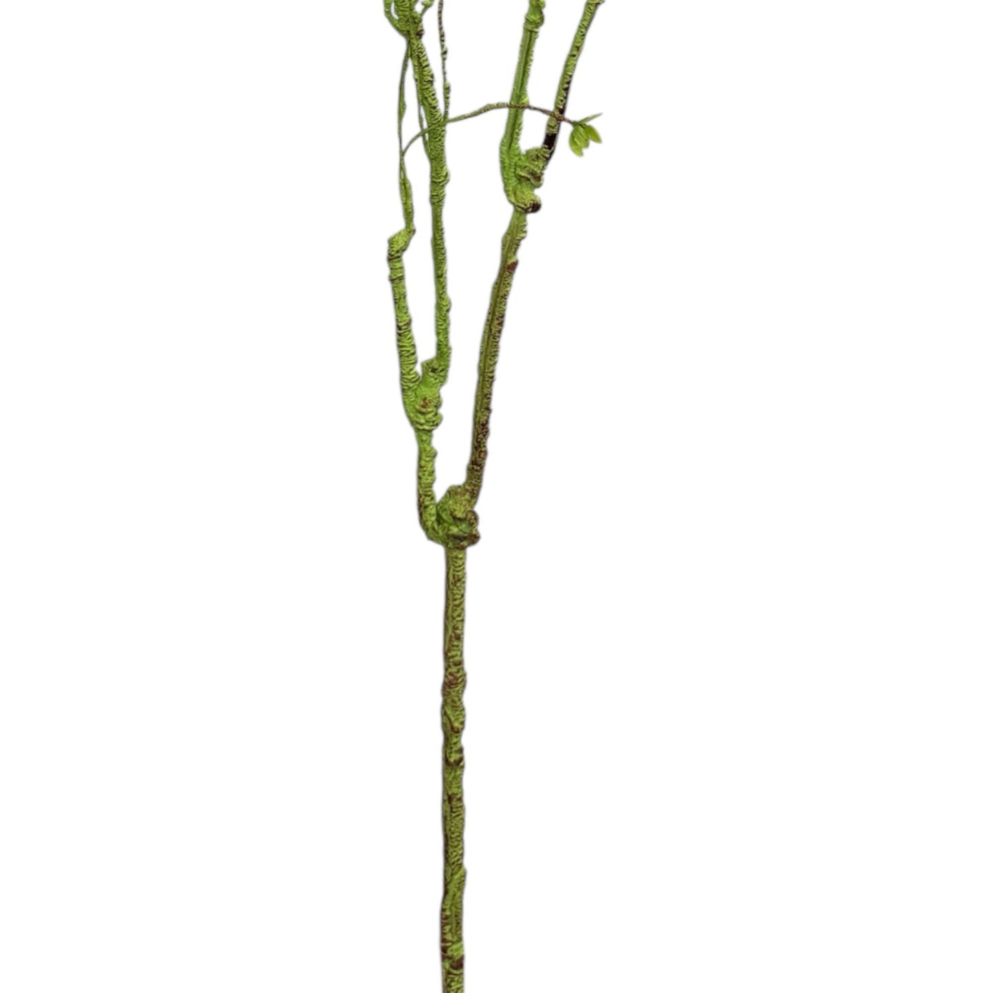 55"(4.5Ft)Designer’s Pick-Faux Curvy Sculptural Branch Stem