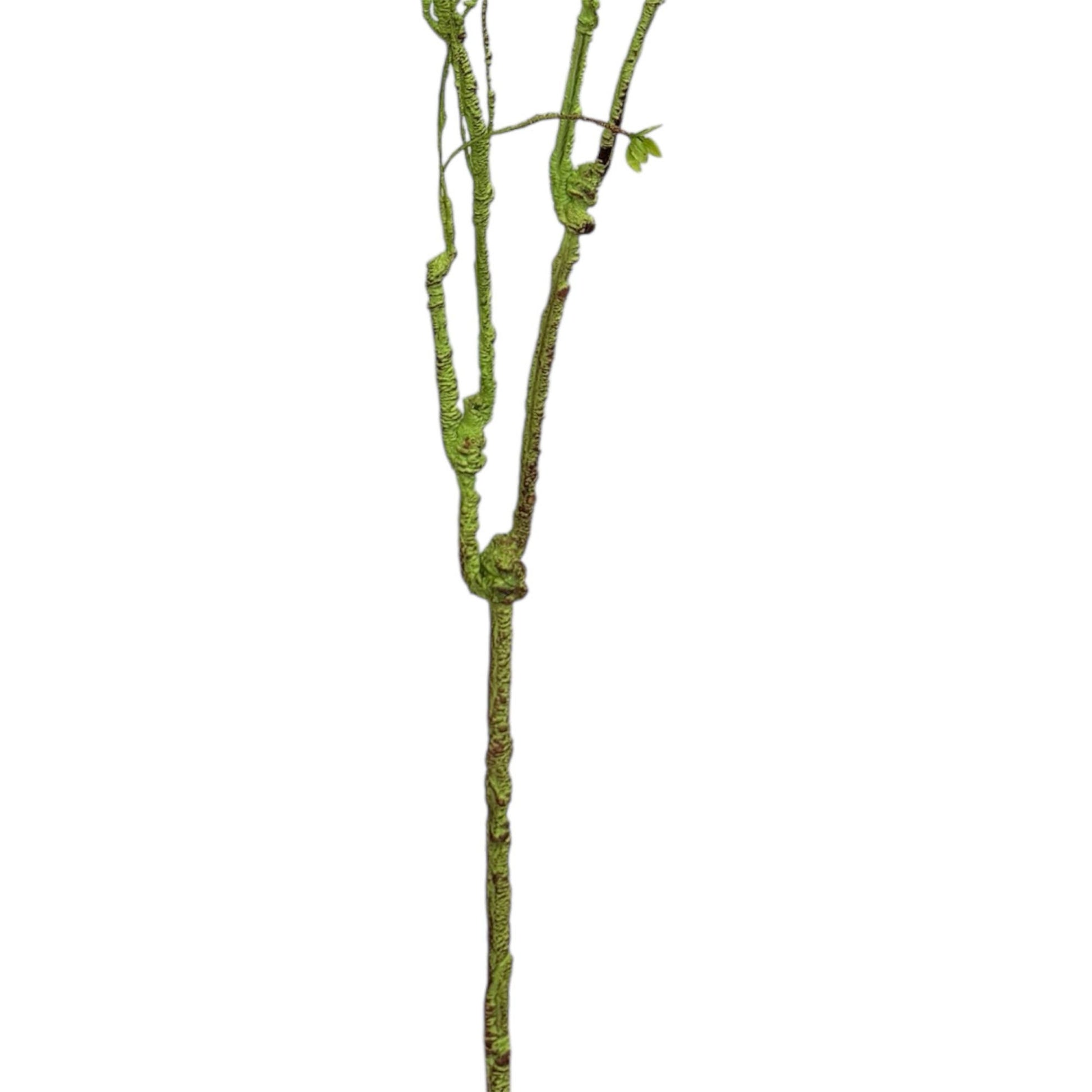 55"(4.5Ft)Designer’s Pick-Faux Curvy Sculptural Branch Stem