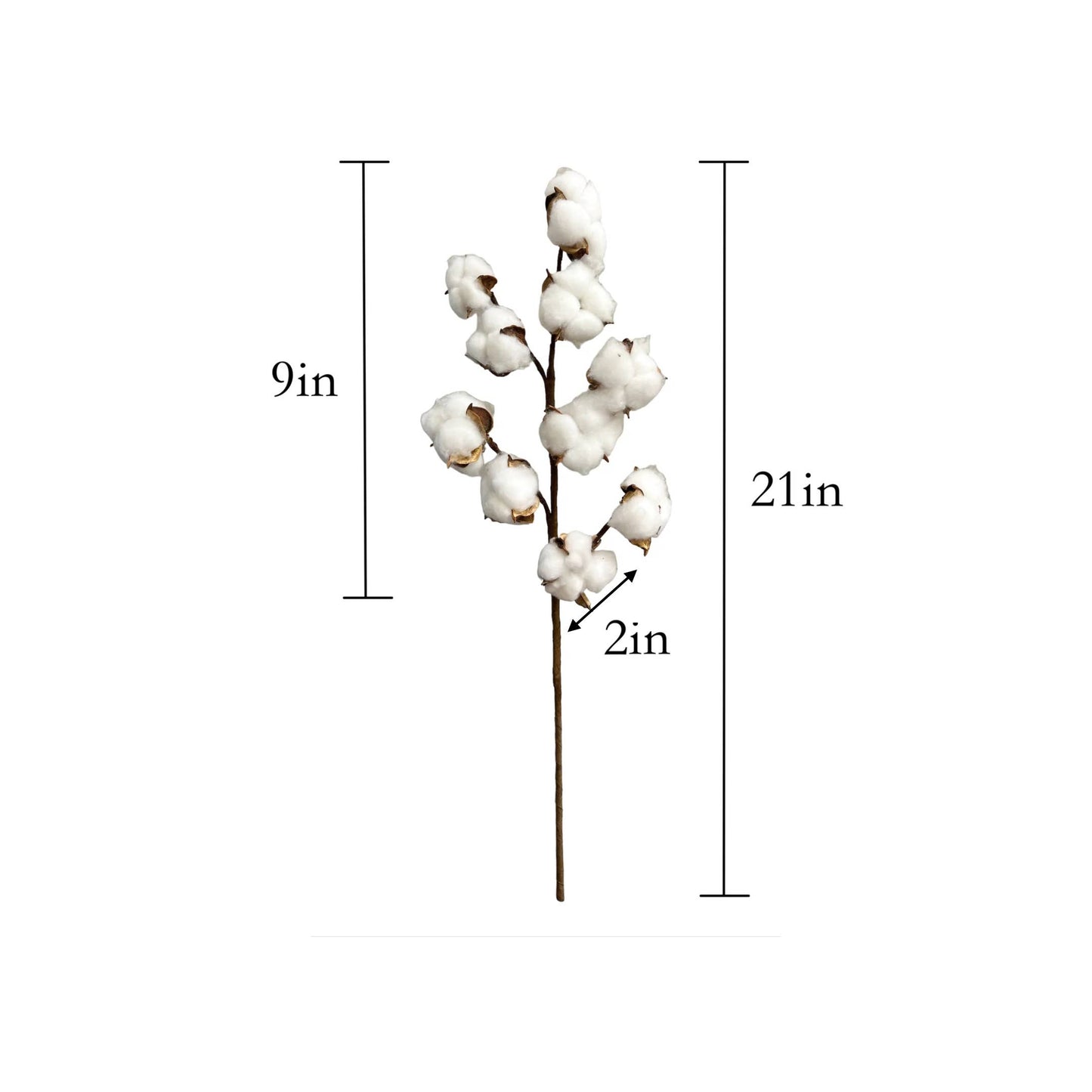 21"High Quality Cotton Stem-10 Large Cotton blossoms