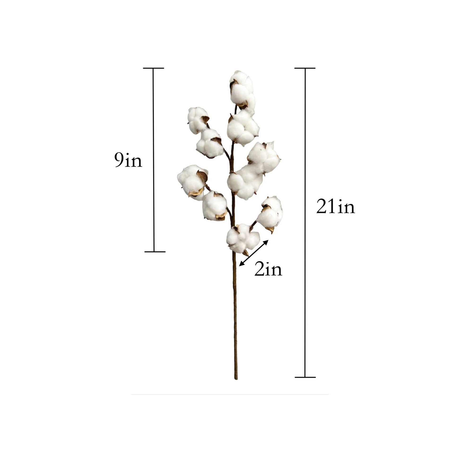 21"High Quality Cotton Stem-10 Large Cotton blossoms