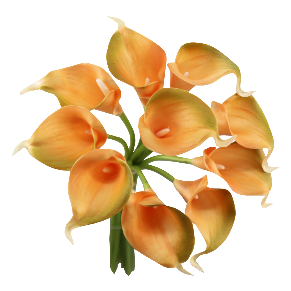 14"-10 stem bundled Real touch sunset orange calla lily