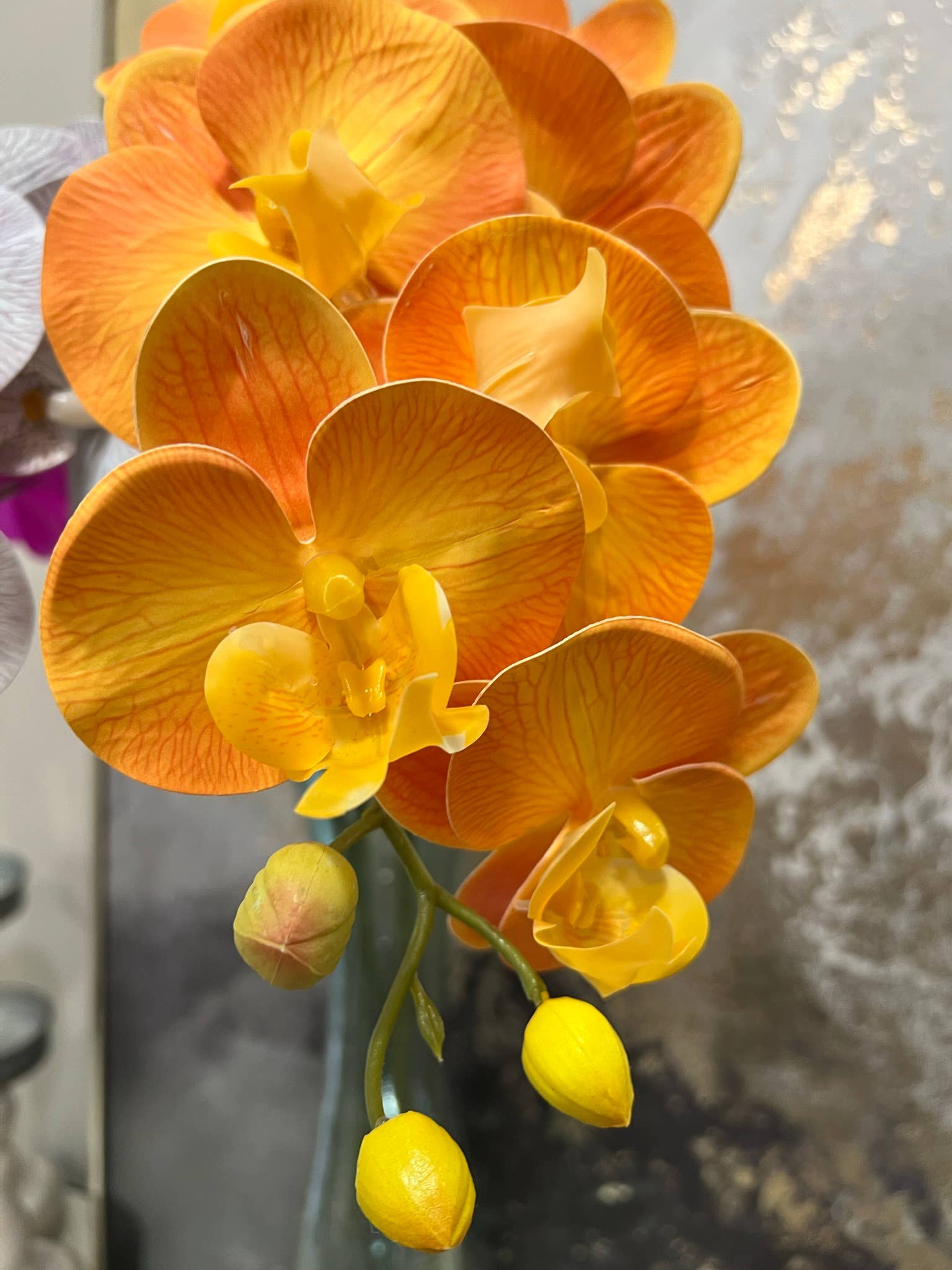 36" Real touch Large bloom Phalaenopsis Orchid-9 Flowers