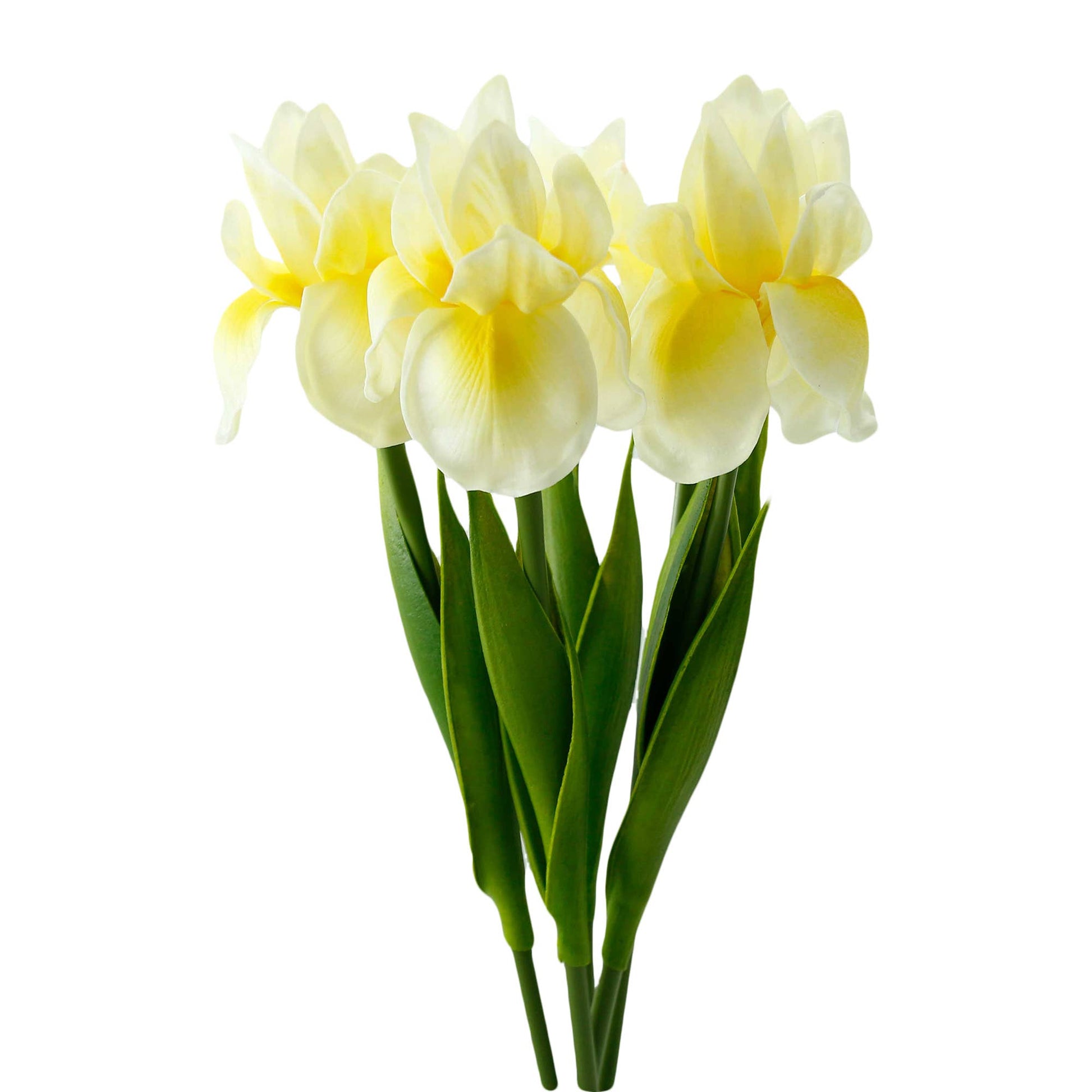 18"-Ultra Soft Real Touch Bearded Iris Stem