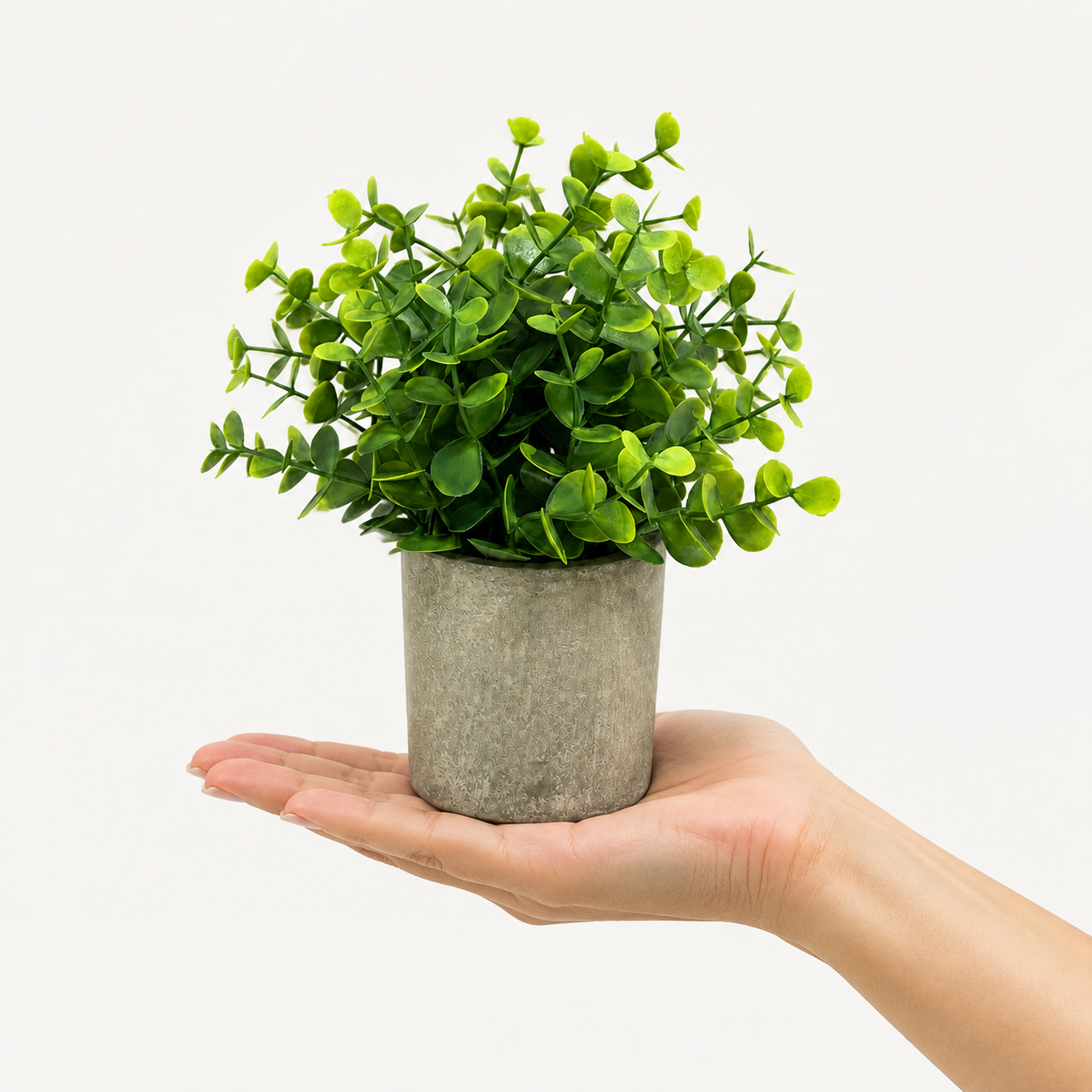 Set of 3-8"Tall Rustic Artificial Plants