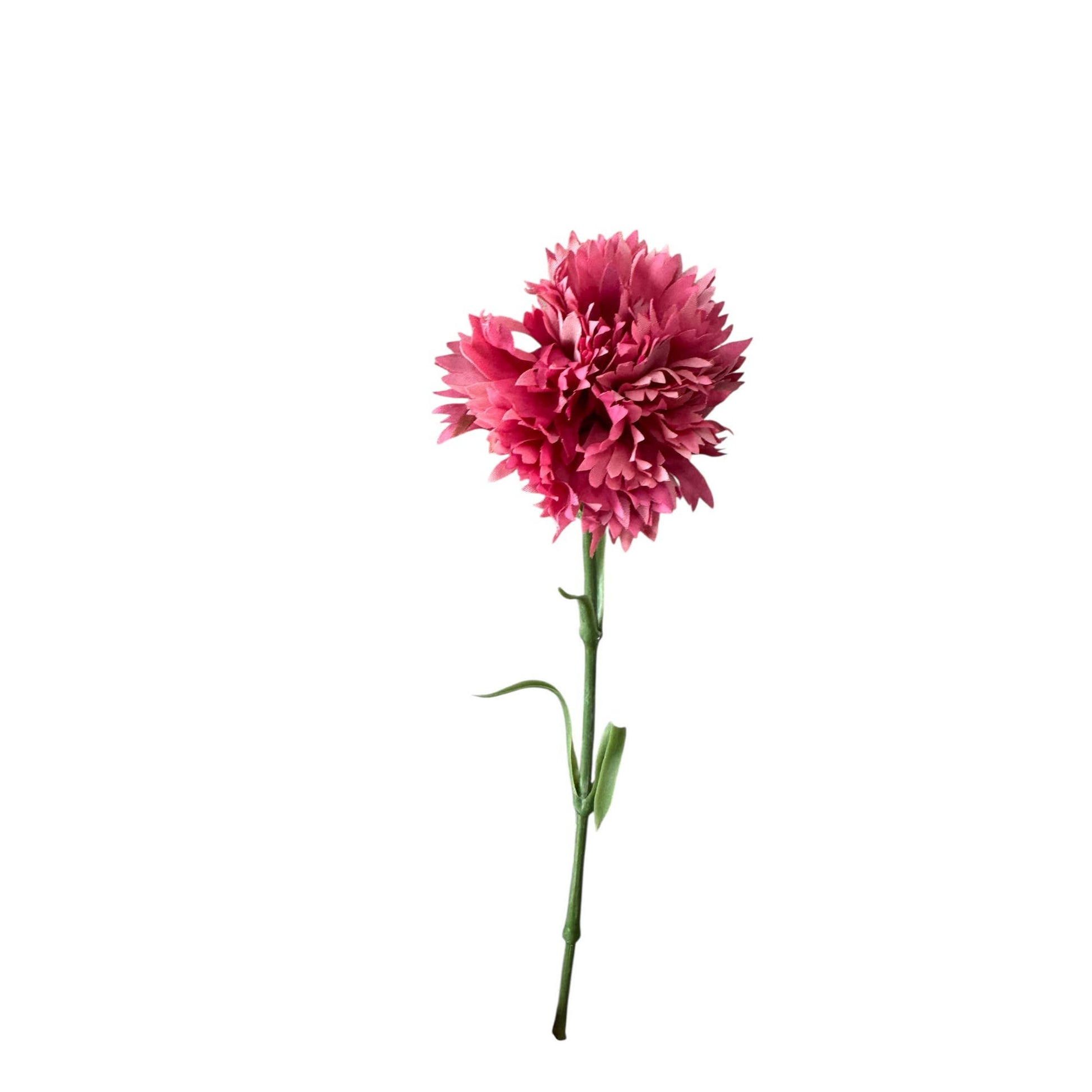 19.5"-Real Touch Needle Petal Modern Look Carnation