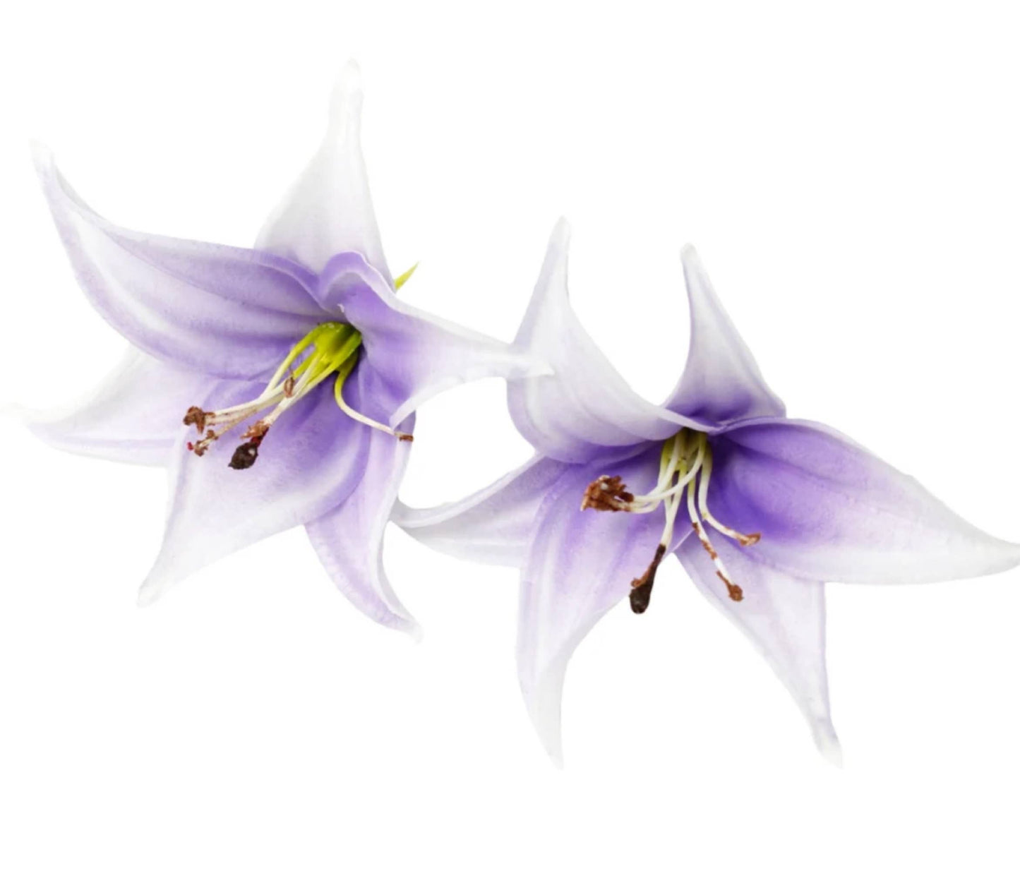 Real Touch Lily with Bendable stem