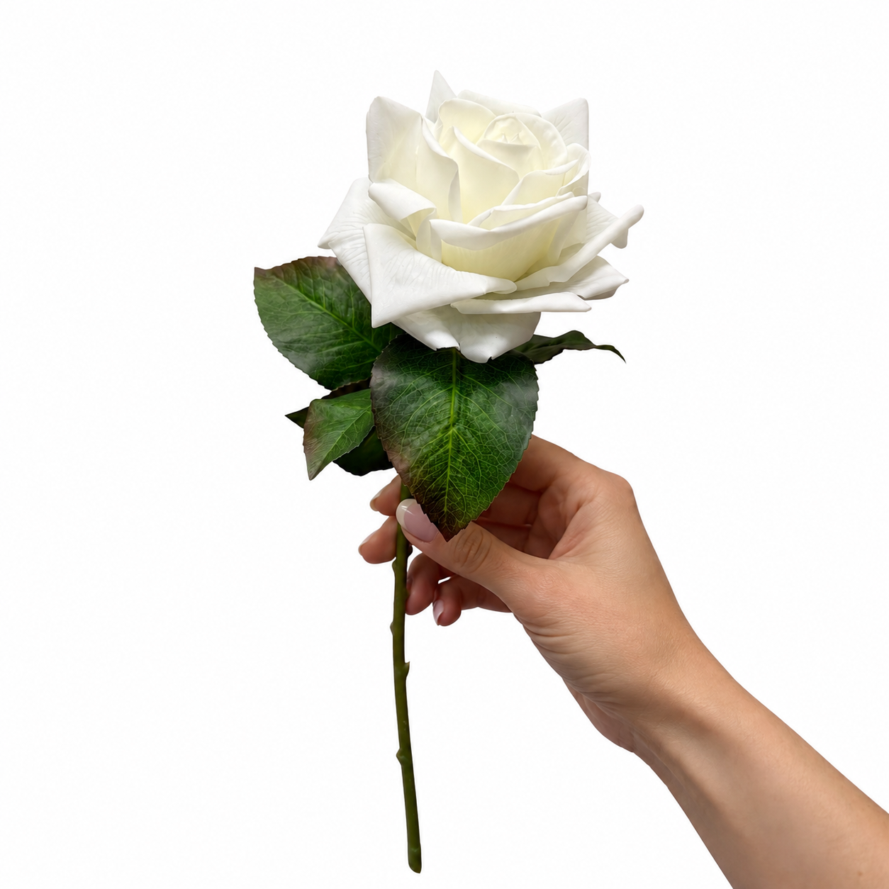 17"Moisturized coating Real Touch Rose