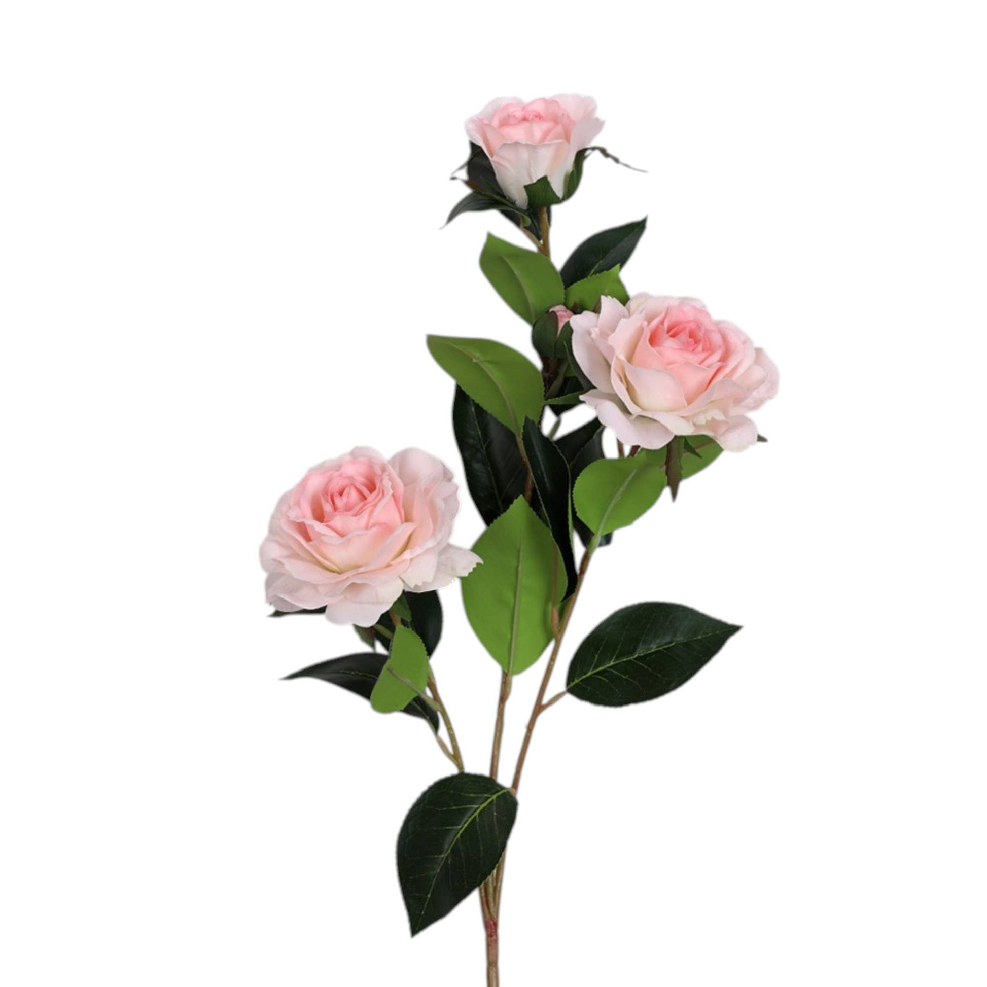 31.5"Real Touch Moisturized Coating Camellia-4 blooms