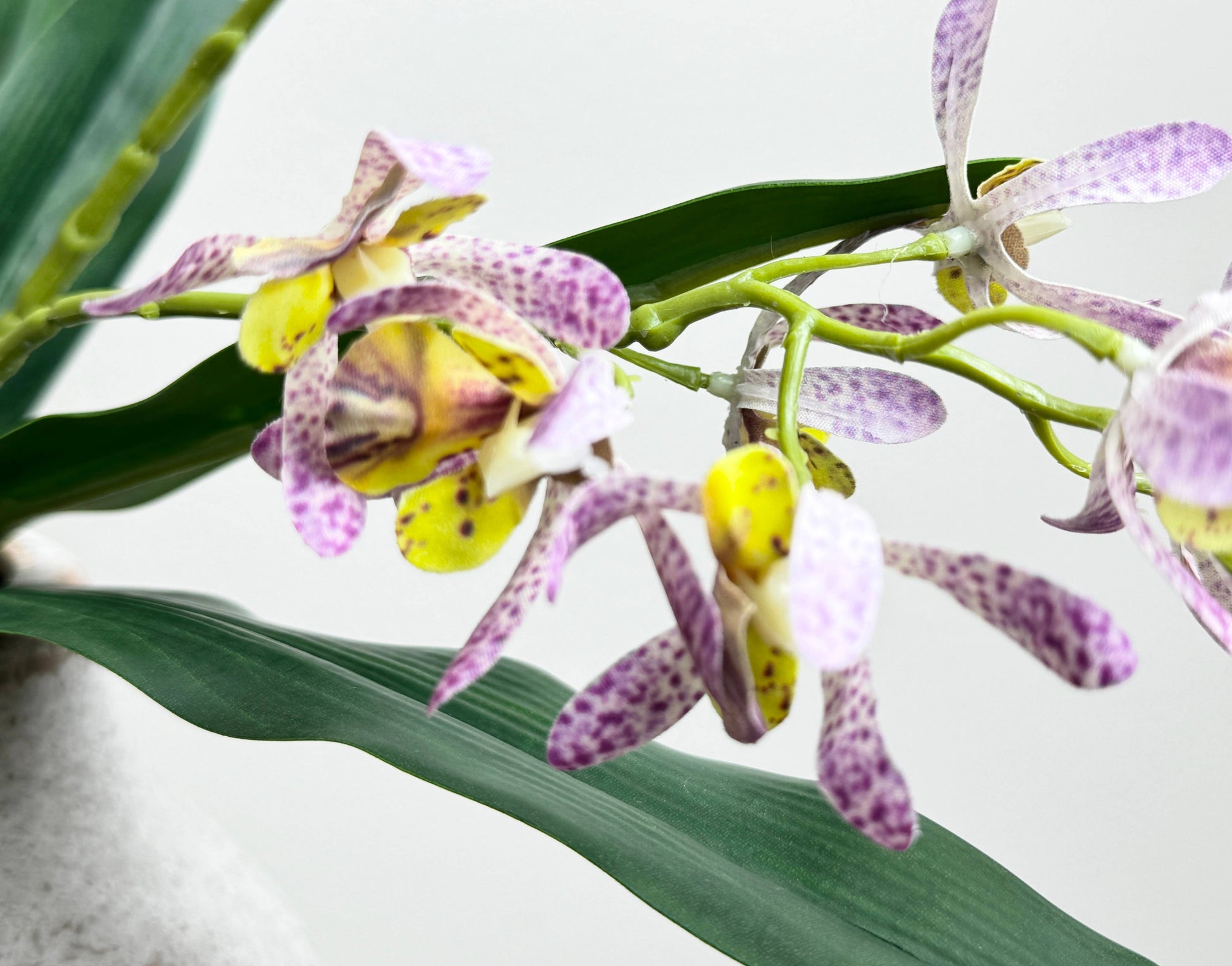 17"Artificial Arachnis Orchid Real Touch Leaves