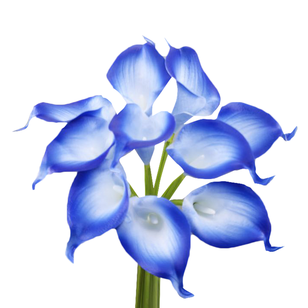 Pack of 10-Lifelike Real Touch Calla lily-Blue Collection