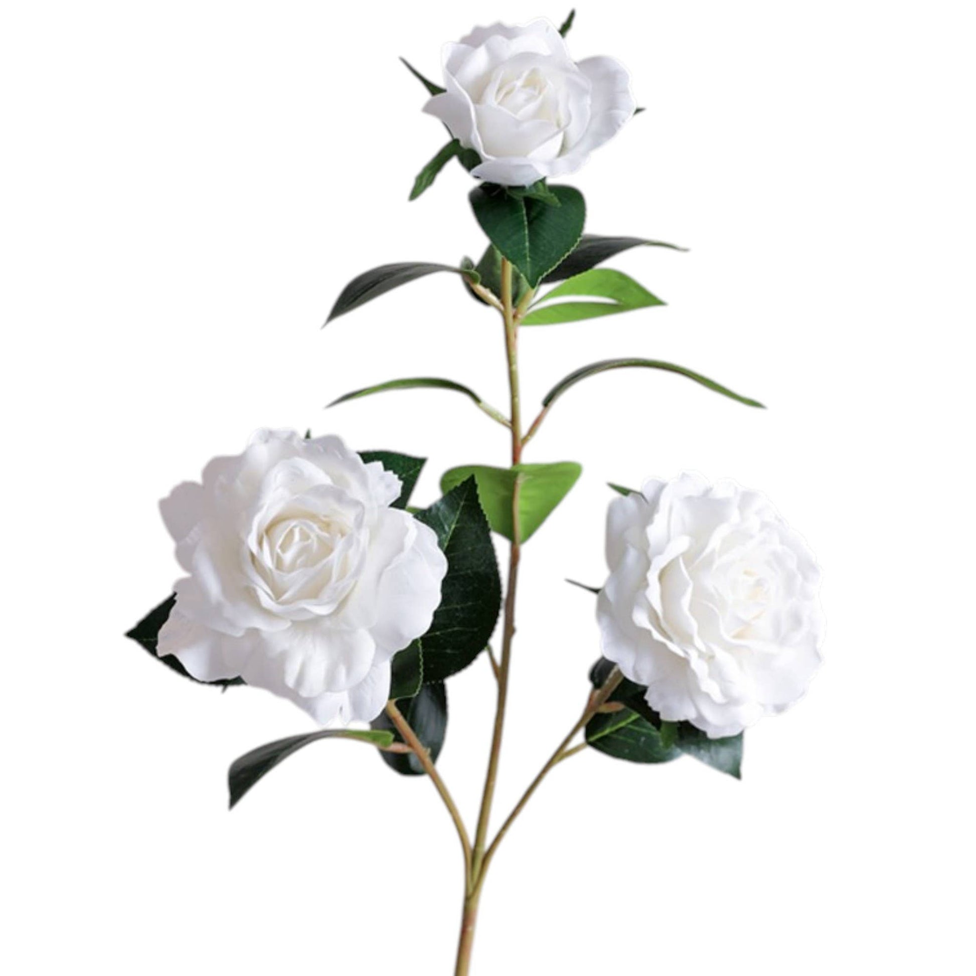 31.5"Real Touch Moisturized Coating Camellia-4 blooms