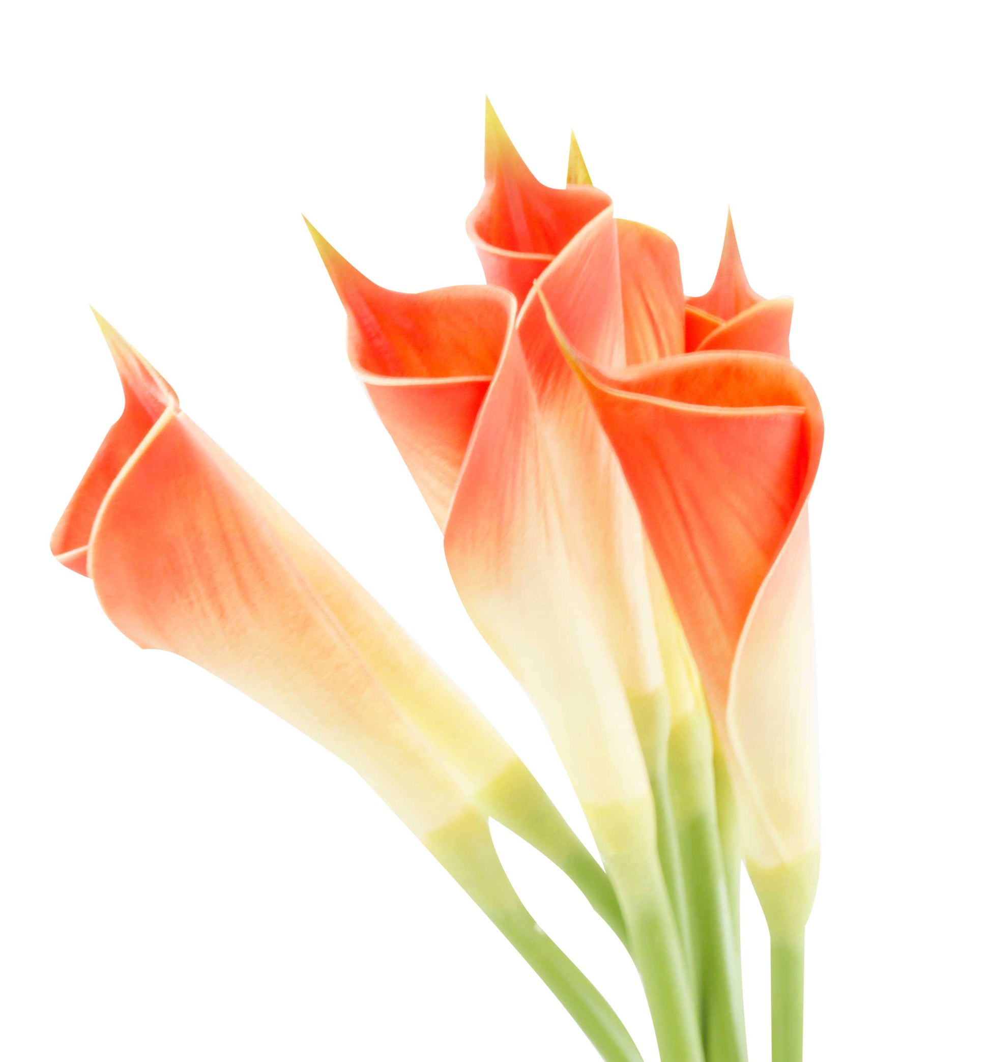 24"Long Premium Lifelike Real Touch Artificial Calla lily