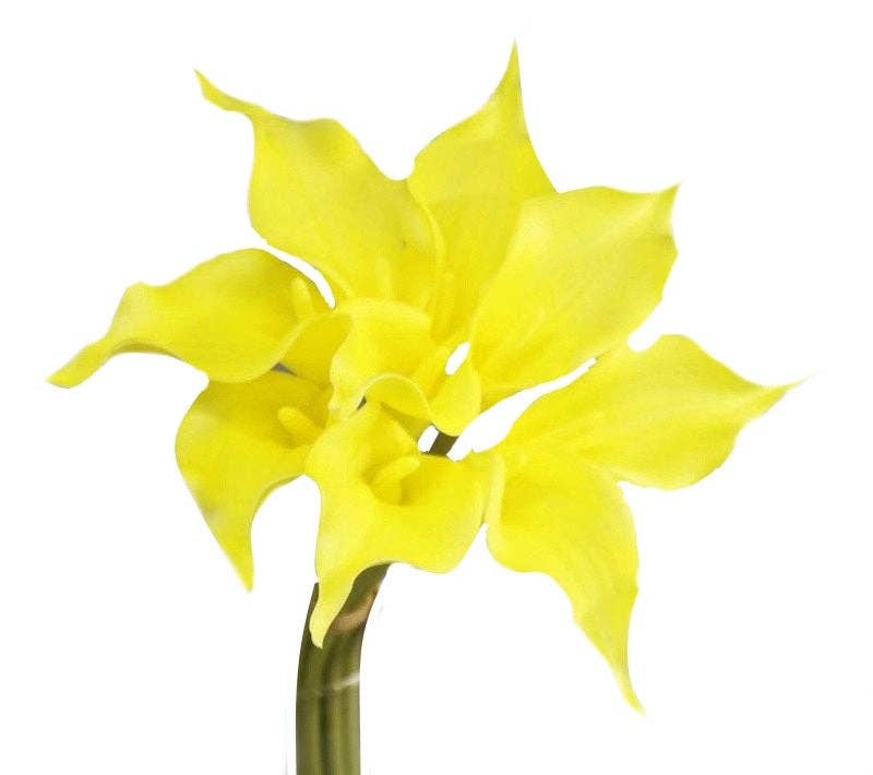 Pack of 9-16"inch Premium Real Touch Long tip Calla lily