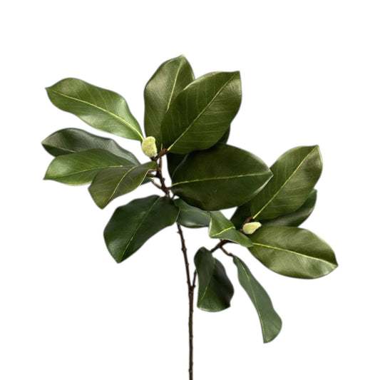 27.5"-Designer’s Pick | Artificial Magnolia Stem 2 Sprays