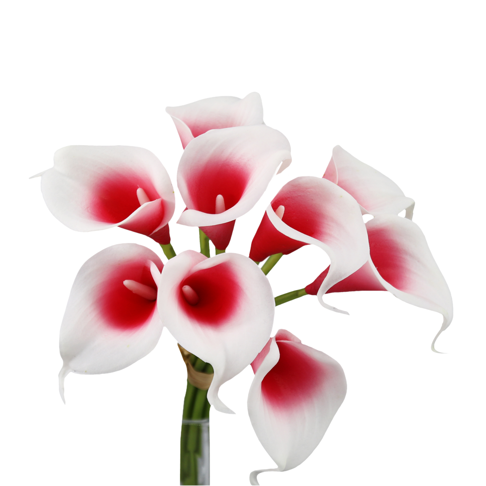 10-stem Calla Lilies-13" Real Touch-Red color palette