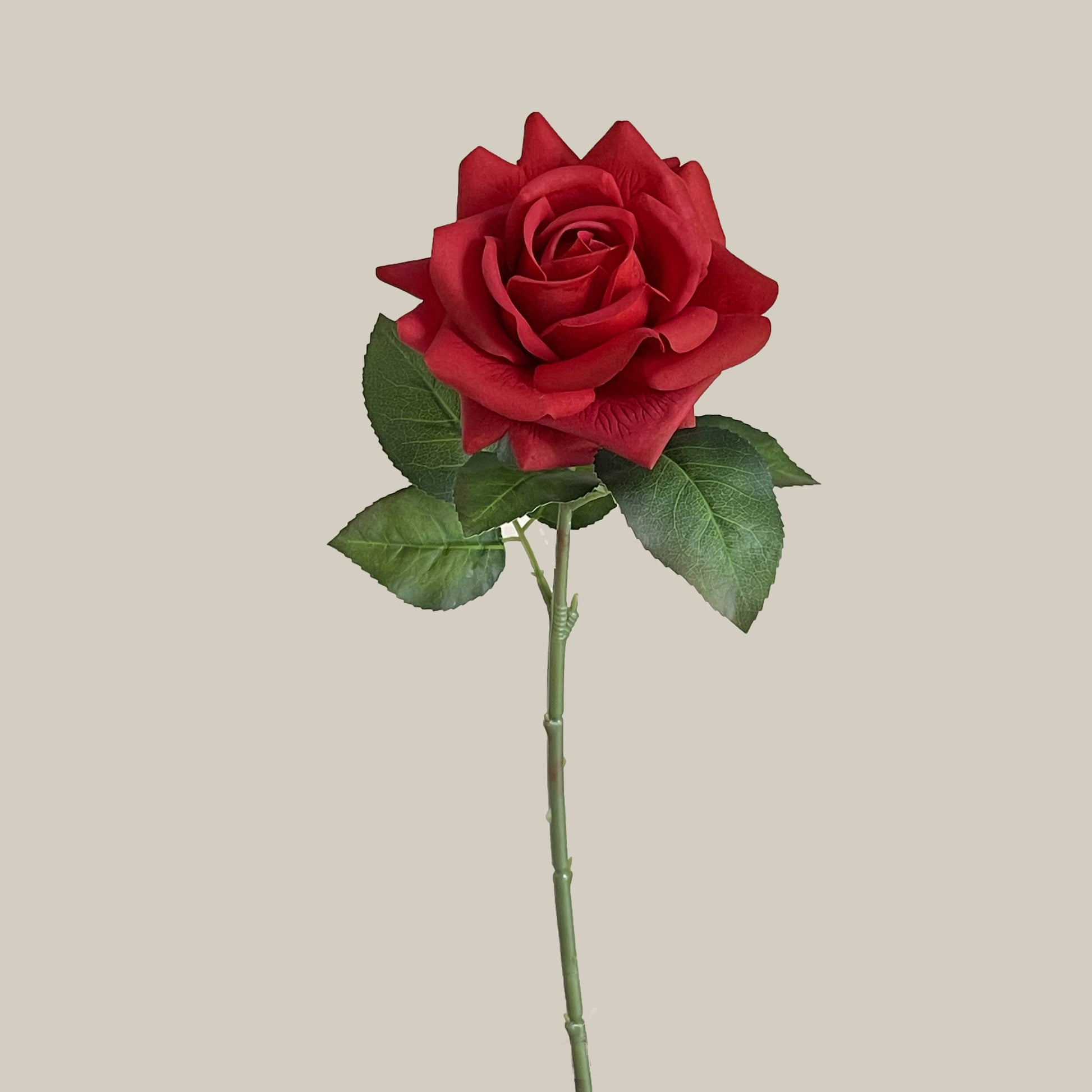 17"Moisturized coating Real Touch Rose