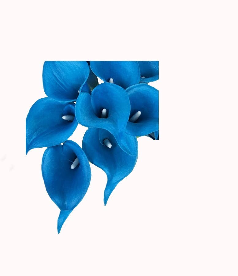 Pack of 10-Real Touch Calla lily-Malibu Turquoise Blue