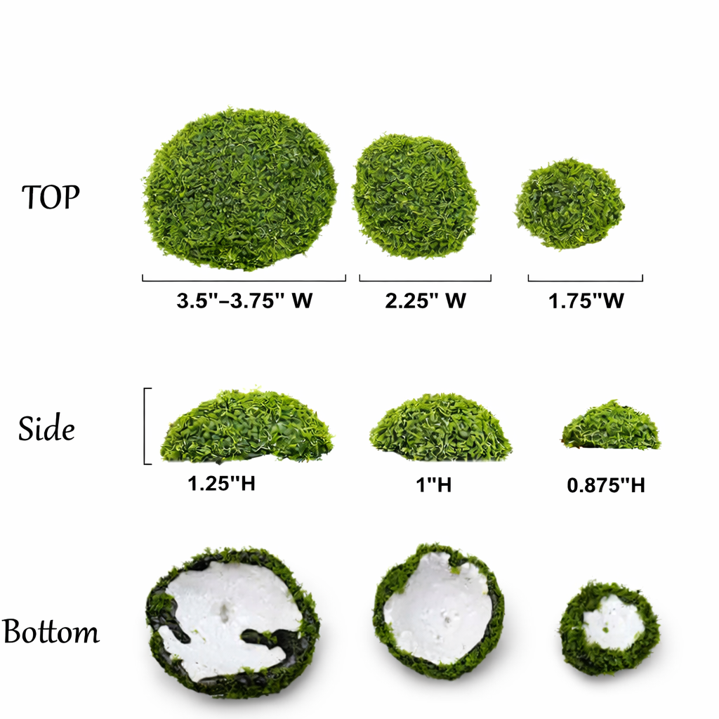 Assorted Sizes (Pack of 12)Artificial Petite Moss Dome Set