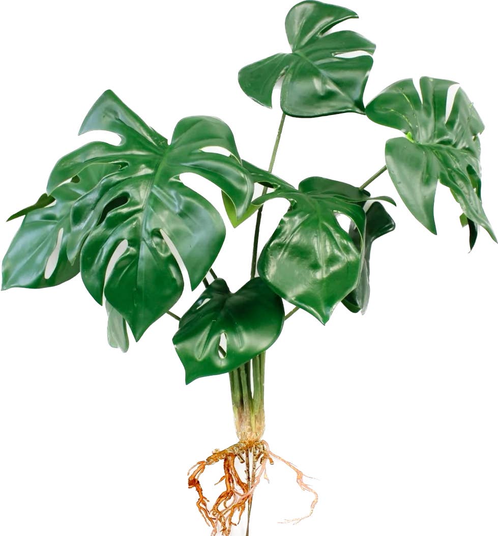 15" Artificial Monstera Plant Foliage with Roots 8 Leaves