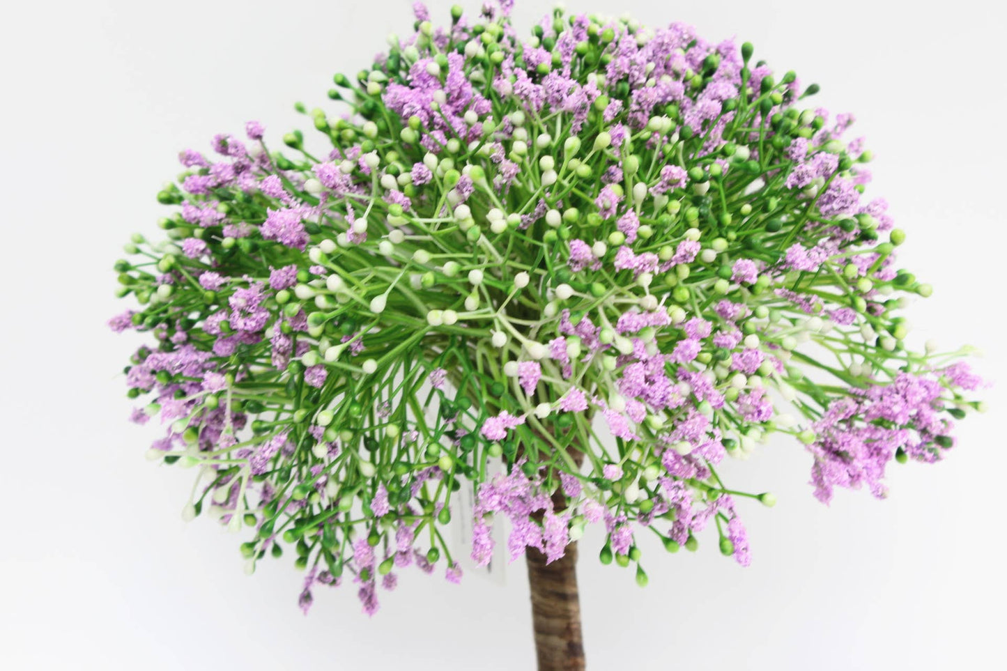 Gypsophila Bundle - foams and seeds