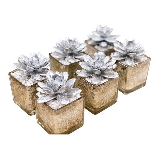 Potted Succulents-mini glittered Silver gold Echeveria