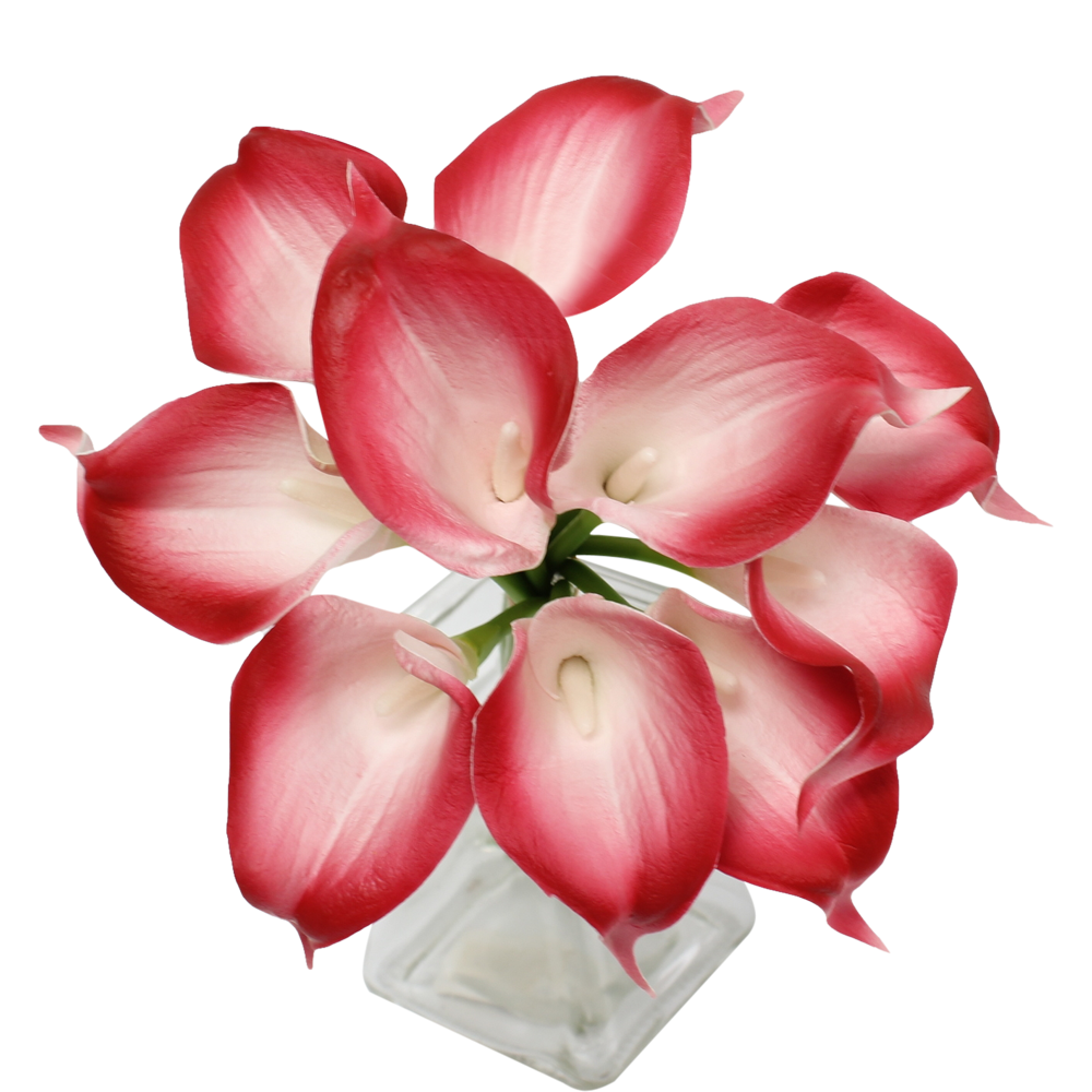 14"-10 stem bundled Real touch Red Calla lilies