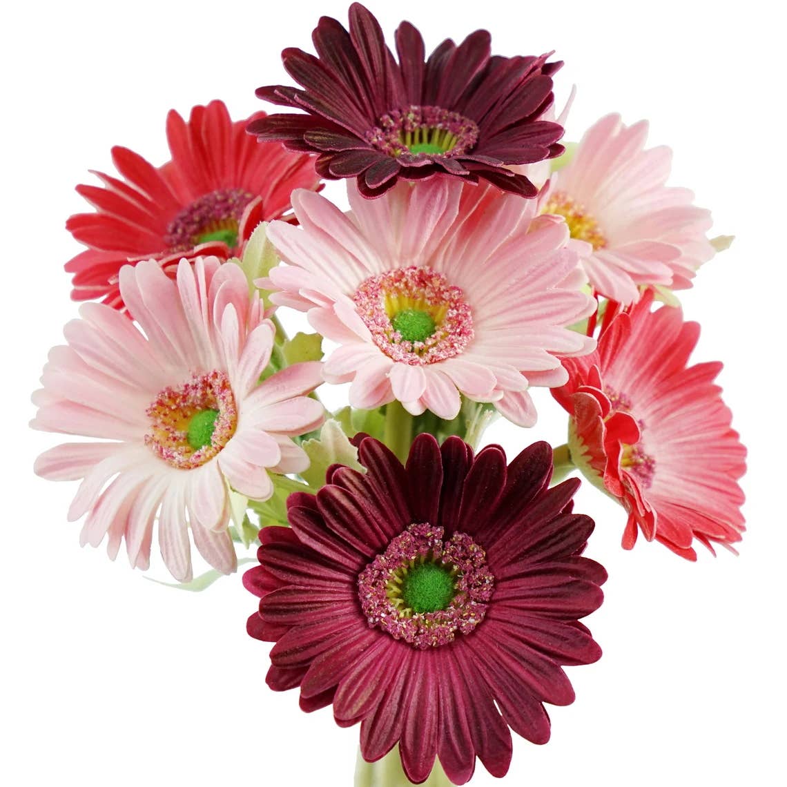14"-Pack of 7stem Real Touch Daisy Bouquet