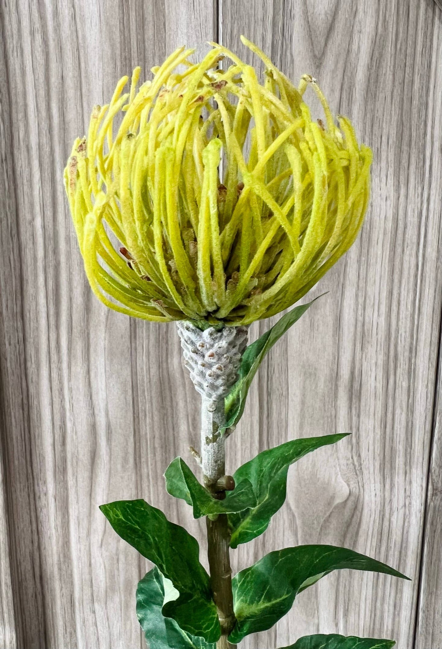 29" Artificial Saffron Pincushion Needle Protea