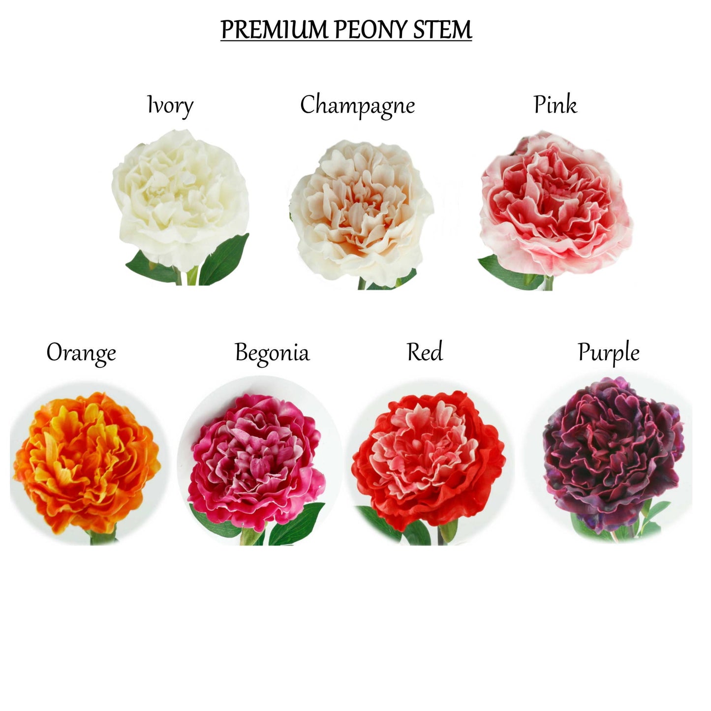 30" Premium Long stem Large Bloom Peony