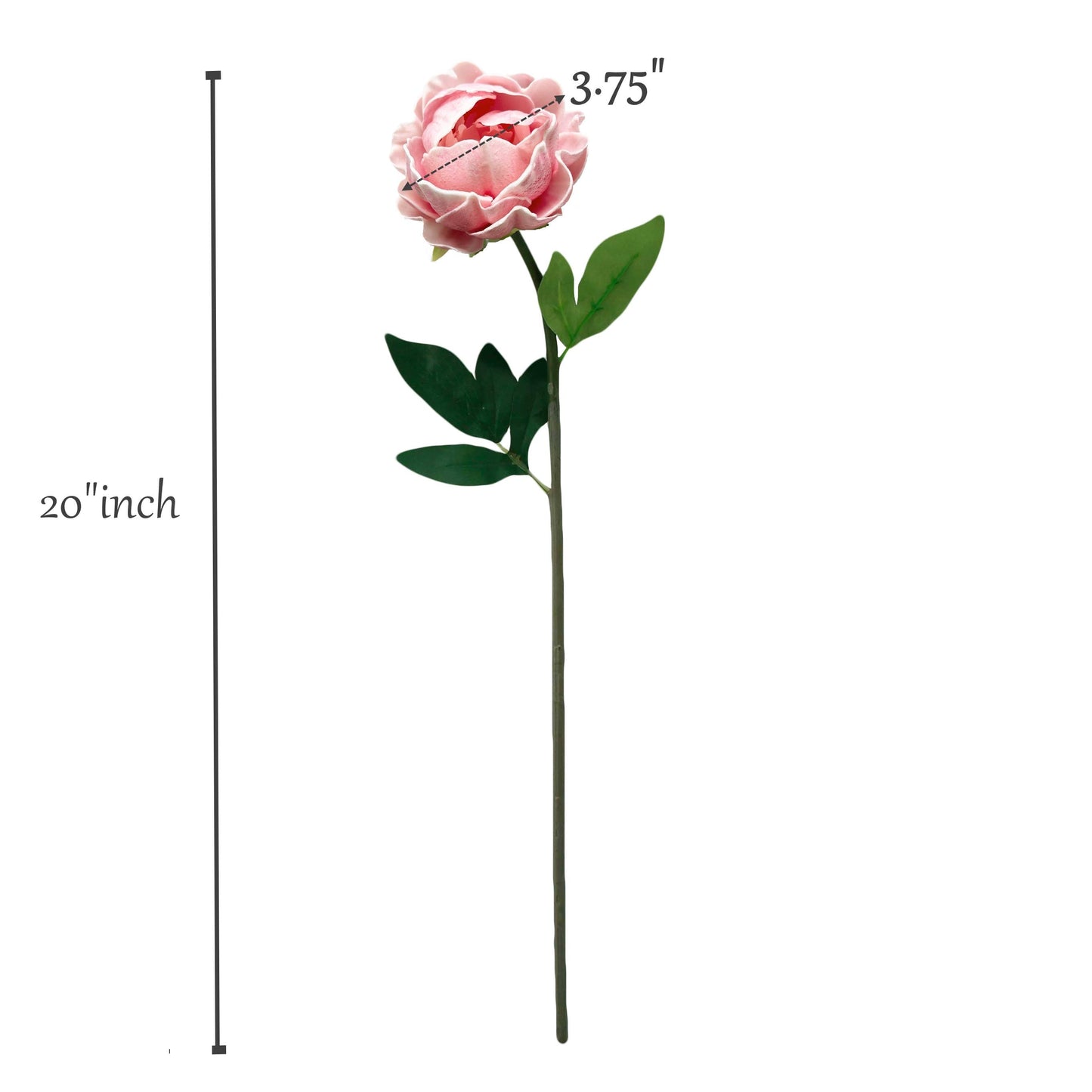 20"Real Touch Peony Stem