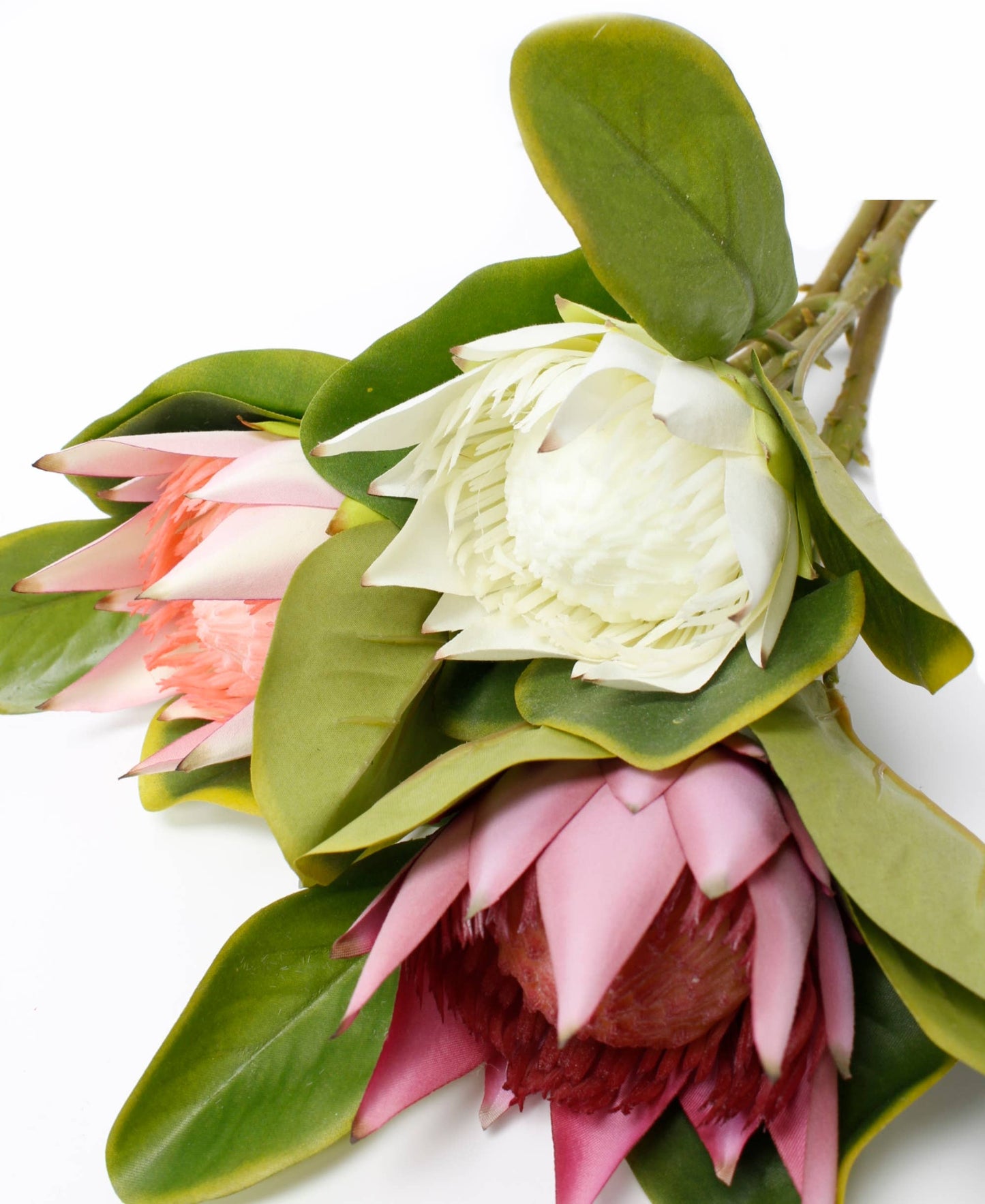 21" Artificial King Protea stem silk bloom real touch leaf