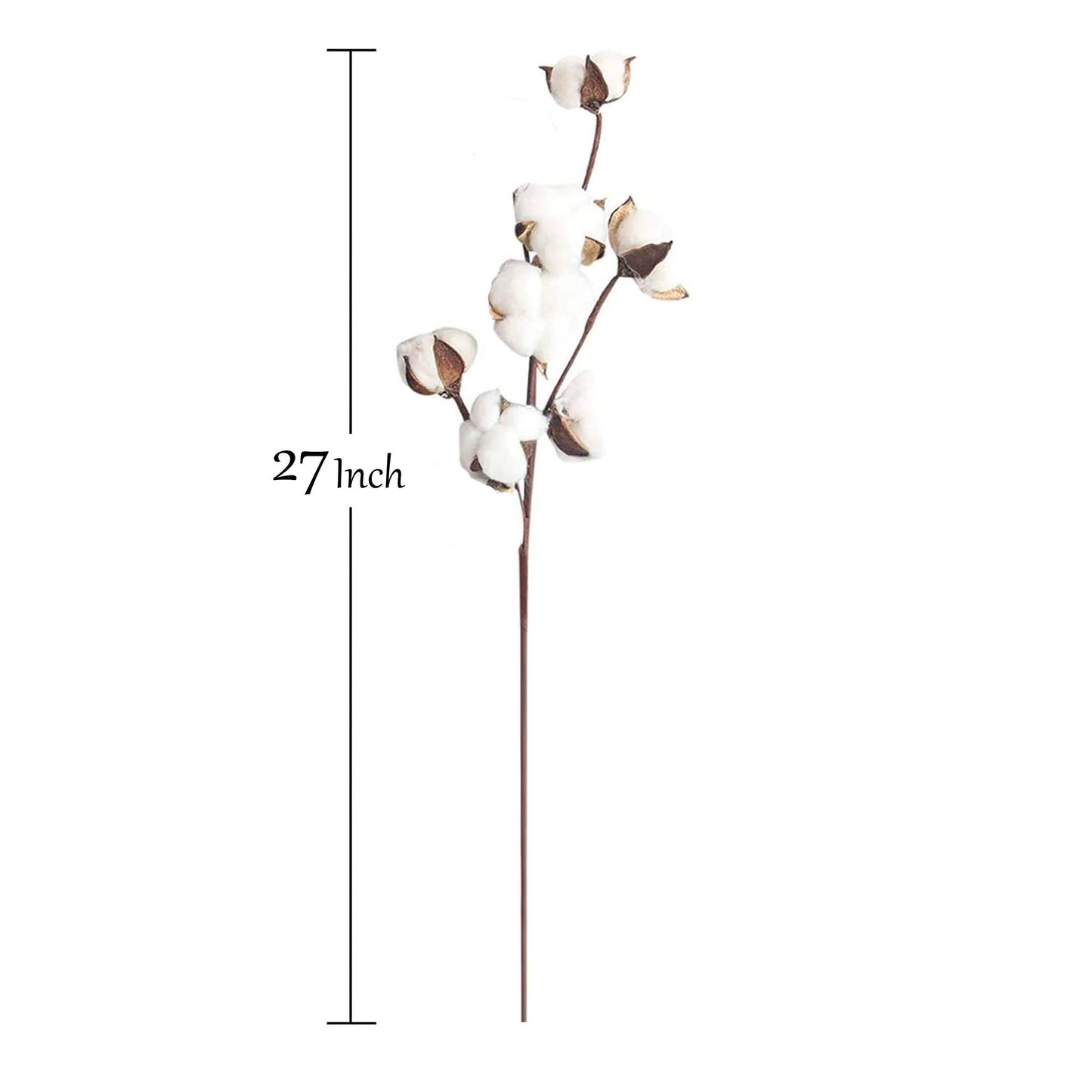 27" Natural Cotton Stem with 7 blooms