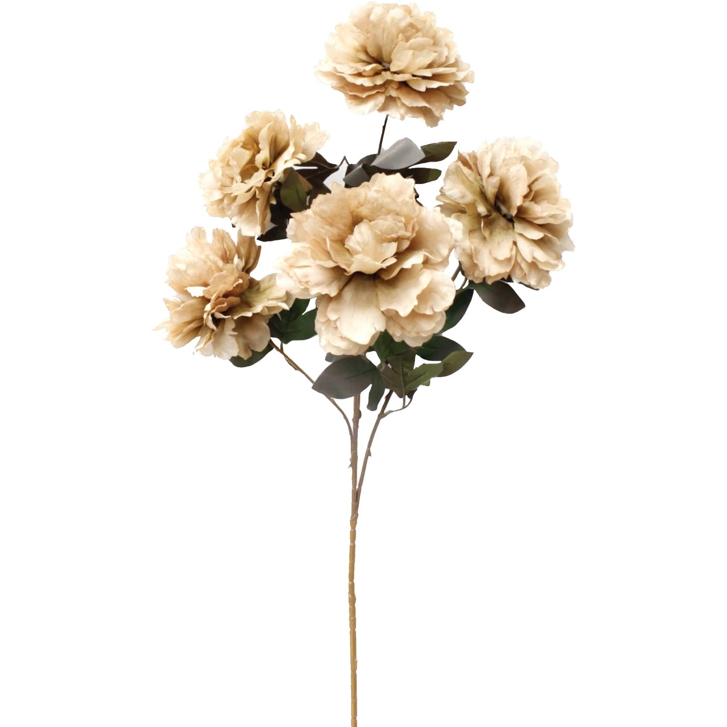 30" Rustic Artificial Silk Peony spray with 5 Blooms