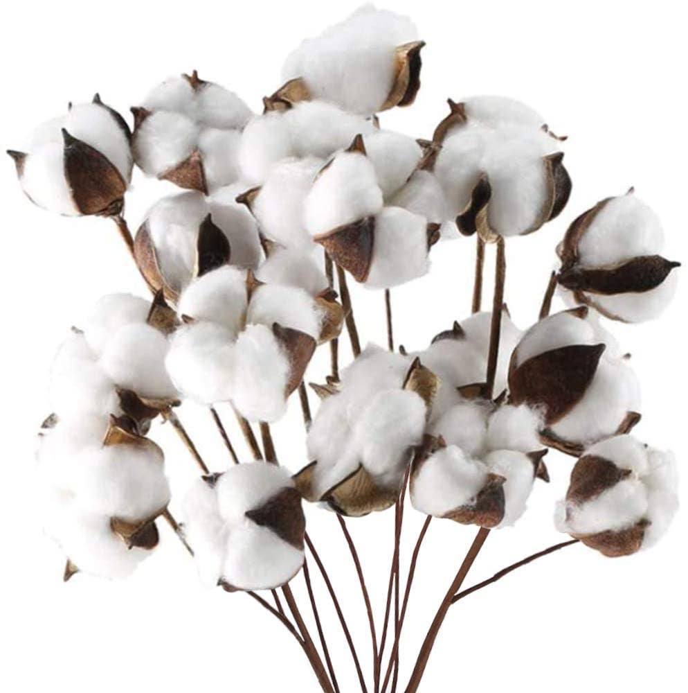 27" Natural Cotton Stem with 7 blooms