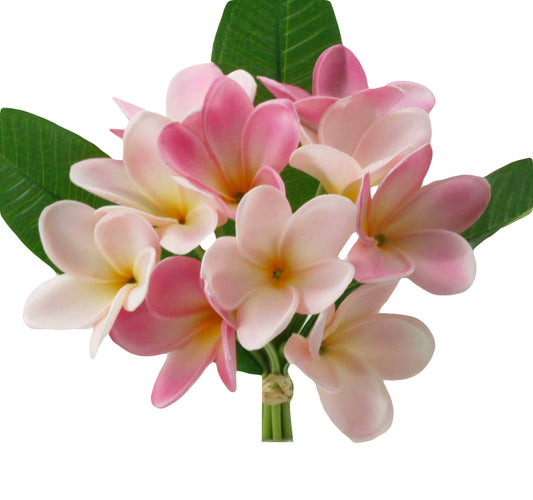 Artificial Real touch Plumeria Frangipani bundle