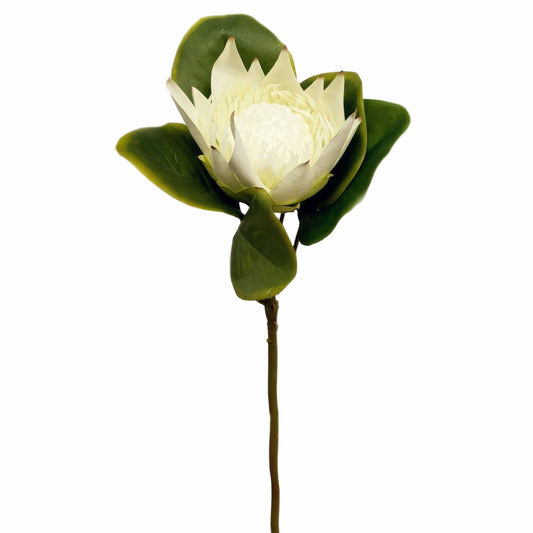 21" Artificial King Protea stem silk bloom real touch leaf