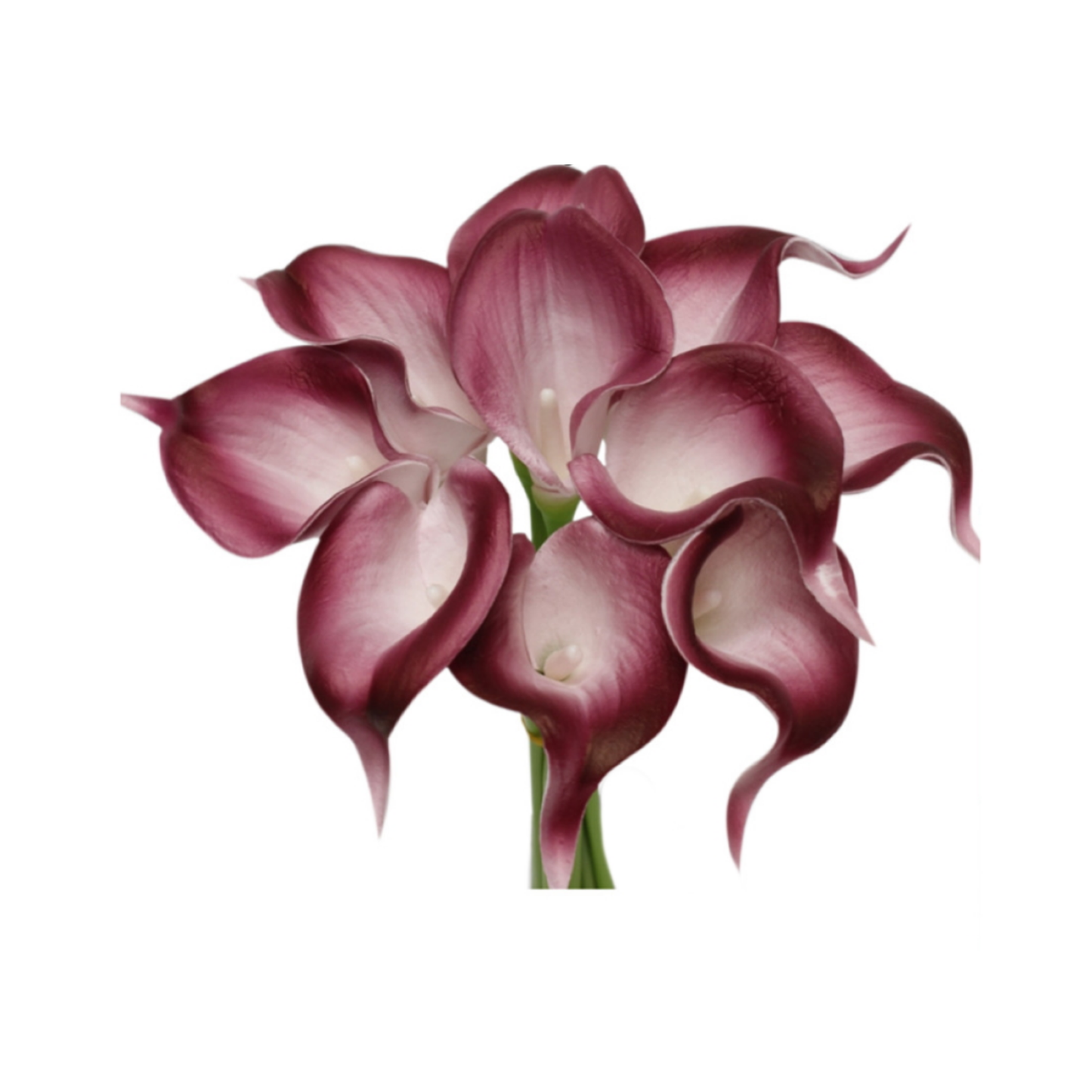 10 stem real touch calla lily-Red burgundy color palette