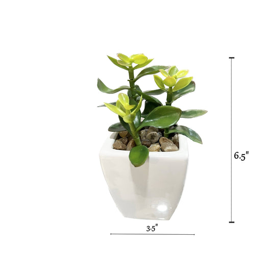 6.5" Artificial Succulent Ceramic Pot